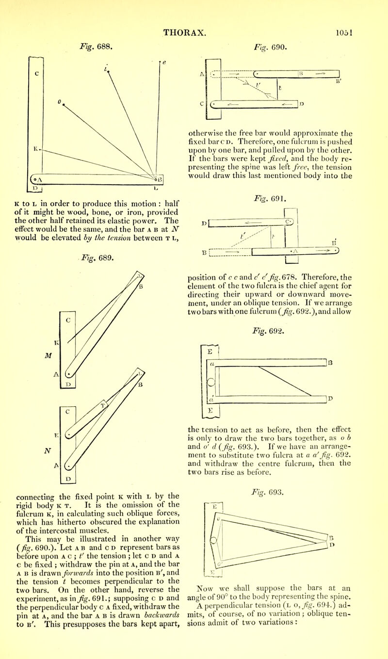 Fig. 688. Fib. 690. k to l in order to produce this motion : half of it might be wood, bone, or iron, provided the other half retained its elastic power. The effect would be the same, and the bar a b at N would be elevated by the tension between t l, Fig. 689. connecting the fixed point k with l by the rigid body k t. It is the omission of the fulcrum k, in calculating such oblique forces, which has hitherto obscured the explanation of the intercostal muscles. This may be illustrated in another way (fig. 690.). Let a b and CD represent bars as before upon \c ; t' the tension ; let c d and a c be fixed ; withdraw the pin at a, and the bar a b is drawn forwards into the position b', and the tension t becomes perpendicular to the two bars. On the other hand, reverse the experiment, as in Jig. 691.; supposing c d and the perpendicular body c a fixed, withdraw the pin at a, and the bar a b is drawn backwards to b'. This presupposes the bars kept apart, ~ i l_J otherwise the free bar would approximate the fixed bar c d. Therefore, one fulcrum is pushed upon by one bar, and pulled upon by the other. If the bars were kept fixed, and the body re- presenting the spine was left free, the tension would draw this last mentioned body into the Fig. 691. r i —.. S3 B lZ. • 1 •A —»-7) position of c c and c' c'fig. 678. Therefore, the element of the two fulcra is the chief agent for directing their upward or downward move- ment, under an oblique tension. If we arrange two bars with one fulcrum {fig. 692.), and allow Fig. 692. IB Id the tension to act as before, then the effect is only to draw the two bars together, as o b and o'd (fig. 693.). If we have an arrange- ment to substitute two fulcra at a a'fig. 692. and withdraw the centre fulcrum, then the two bars rise as before. Fig. 693. Now we shall suppose the bars at an angle of 90° to the body representing the spine. A perpendicular tension (l o,fig. 69-i.) ad- mits, of course, of no variation ; oblique ten- sions admit of two variations :