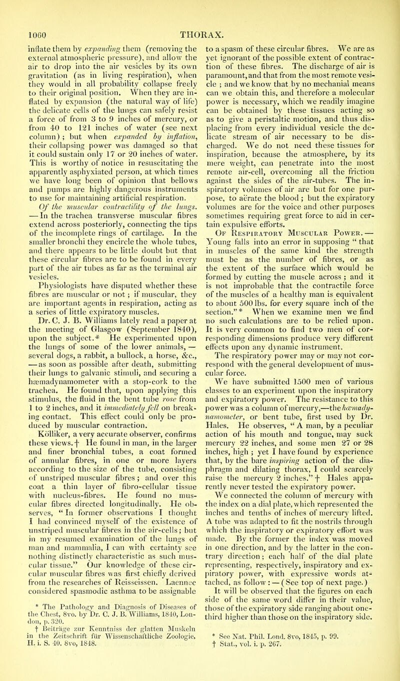inflate them by expanding them (removing the external atmospheric pressure), and allow the air to drop into the air vesicles by its own gravitation (as in living respiration), when they would in all probability collapse freely to their original position. When they are in- flated by expansion (the natural way of life) the delicate cells of the lungs can safely resist a force of from 3 to 9 inches of mercury, or from 40 to 121 inches of water (see next column) ; but when expanded by inflation, their collapsing power was damaged so that it could sustain only 17 or 20 inches of water. This is worthy of notice in resuscitating the apparently asphyxiated person, at which times we have long been of opinion that bellows and pumps are highly dangerous instruments to use for maintaining artificial respiration. Of the muscular contractility of the lungs. — In the trachea transverse muscular fibres extend across posteriorly, connecting the tips of the incomplete rings of cartilage. In the smaller bronchi they encircle the whole tubes, and there appears to be little doubt but that these circular fibres are to be found in every part of the air tubes as far as the terminal air vesicles. Physiologists have disputed whether these fibres are muscular or not; if muscular, they are important agents in respiration, acting as a series of little expiratory muscles. Dr. C. J. B. Williams lately read a paper at the meeting of Glasgow (September 1840), upon the subject.* He experimented upon the lungs of some of the lower animals, — several dogs, a rabbit, a bullock, a horse, &c, — as soon as possible after death, submitting their lungs to galvanic stimuli, and securing a hacmadynamometer with a stop-cork to the trachea. He found that, upon applying this stimulus, the fluid in the bent tube rose from 1 to 2 inches, and it immediately fell on break- ing contact. This effect could only be pro- duced by muscular contraction. Kolliker, a very accurate observer, confirms these views.-)- He found in man, in the larger and finer bronchial tubes, a coat formed of annular fibres, in one or more layers according to the size of the tube, consisting of unstriped muscular fibres ; and over this coat a thin layer of fibro-cellular tissue with nucleus-fibres. He found no mus- cular fibres directed longitudinally. He ob- serves,  In former observations I thought I had convinced myself of the existence of unstriped muscular fibres in the air-cells; but in my resumed examination of the lungs of man and mammalia, I can with certainty see nothing distinctly characteristic as such mus- cular tissue. Our knowledge of these cir- cular muscular fibres was first chiefly derived from the researches of Reisseissen. Laennec considered spasmodic asthma to be assignable * The Pathology and Diagnosis of Diseases of the Chest, 8vo. by Dr. C. J. B. Williams, 1840, Lou- don, p. 320. t Beitriige zur Kenntniss der glatten Muskeln in the Zeitschrift fur Wissenschal'tliche Zoologie. to a spasm of these circular fibres. We are as yet ignorant of the possible extent of contrac- tion of these fibres. The discharge of air is paramount, and that from the most remote vesi- cle ; and we know that by no mechanial means can we obtain this, and therefore a molecular power is necessary, which we readily imagine can be obtained by these tissues acting so as to give a peristaltic motion, and thus dis- placing from every individual vesicle the de- licate stream of air necessary to be dis- charged. We do not need these tissues for inspiration, because the atmosphere, by its mere weight, can penetrate into the most remote air-cell, overcoming all the friction against the sides of the air-tubes. The in- spiratory volumes of air are but for one pur- pose, to aerate the blood ; but the expiratory volumes are for the voice and other purposes sometimes requiring great force to aid in cer- tain expulsive efforts. Of Respiratory Muscular Power.— Young falls into an error in supposing  that in muscles of the same kind the strength must be as the number of fibres, or as the extent of the surface which would be formed by cutting the muscle across ; and it is not improbable that the contractile force of the muscles of a healthy man is equivalent to about 500 lbs. for every square inch of the section. * When we examine men we find no such calculations are to be relied upon. It is very common to find two men of cor- responding dimensions produce very different effects upon any dynamic instrument. The respiratory power may or may not cor- respond with the general development of mus- cular force. We have submitted 1.500 men of various classes to an experiment upon the inspiratory and expiratory power. The resistance to this power was a column of mercury,—thekesmady- namometer, or bent tube, first used by Dr. Hales. He observes,  A man, by a peculiar action of his mouth and tongue, may suck mercury 22 inches, and some men 27 or 28 inches, high ; yet I have found by experience that, by the bare inspiring action of the dia- phragm and dilating thorax, I could scarcely raise the mercury 2 inches. -f- Hales appa- rently never tested the expiratory power. We connected the column of mercury with the index on a dial plate, which represented the inches and tenths of inches of mercur}' lifted. A tube was adapted to fit the nostrils through which the inspiratory or expiratory effort was made. By the former the index was moved in one direction, and by the latter in the con- trary direction; each half of the dial plate representing, respectively, inspiratory and ex- piratory power, with expressive words at- tached, as follow: — (See top of next page.) It will be observed that the figures on each side of the same word differ in their value, those of the expiratory side ranging about one- third higher than those on the inspiratory side. * See Nat. Phil. Lond. 8vo, 1845, p. 99.