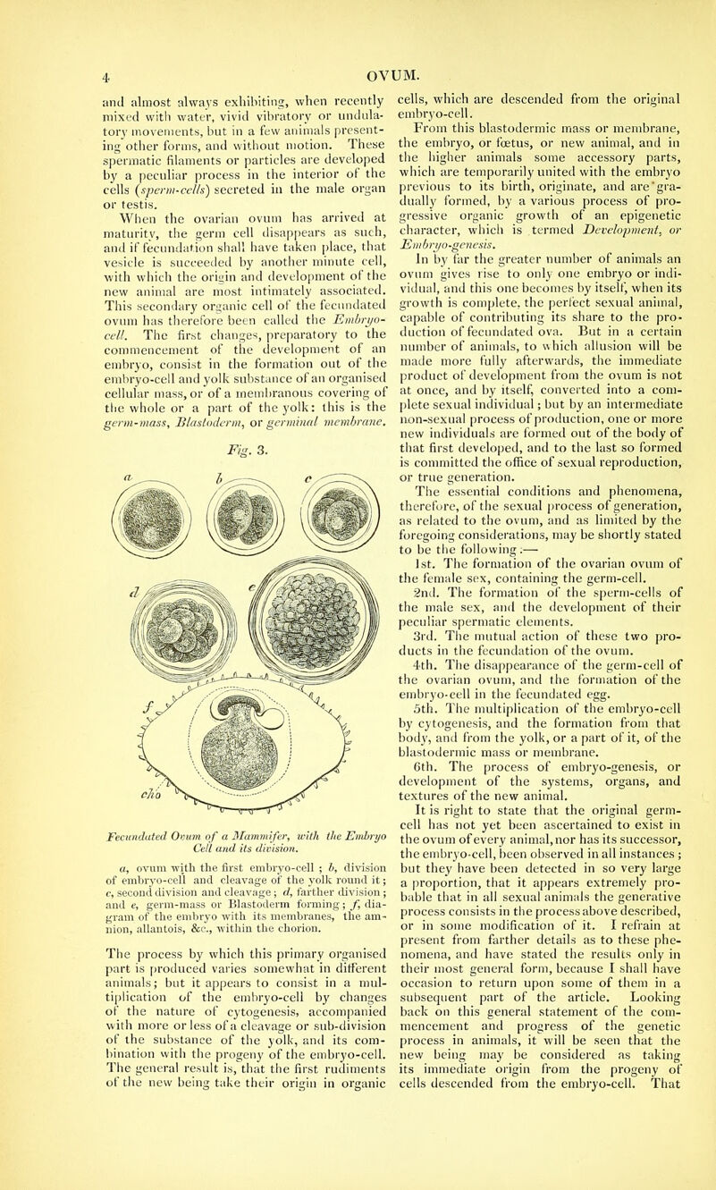 and almost always exhibiting, when recently mixed witli water, vivid vibratory or undula- tory movements, but in a few animals present- ing other forms, and without motion. These spermatic filaments or particles are developed by a peculiar process in the interior of the cells (sperm-cells) secreted in the male organ or testis. When the ovarian ovum has arrived at maturity, the germ cell disappears as such, and if fecundation shall have taken place, that vesicle is succeeded by another minute cell, with which the origin and development of the new animal are most intimately associated. This secondary organic cell of the fecundated ovum has therefore been called the Embryo- cell. The first changes, preparatory to the commencement of the development of an embryo, consist in the formation out of the embryo-cell and yolk substance of an organised cellular mass, or of a membranous covering of the whole or a part of the yolk: this is the germ-mass, Blastoderm, or germinal membrane. Fig. 3. Fecundated Ovum of a Mammifer, with the Embryo Cell and its division. a, ovum witli the first embryo-cell ; b, division of embryo-cell and cleavage of the yolk round it; c, second division and cleavage ; d, farther division ; and e, germ-mass or Blastoderm forming; f, dia- gram of the embryo with its membranes, the am- nion, allantois, &c, within the chorion. The process by which this primary organised part is produced varies somewhat in different animals; but it appears to consist in a mul- tiplication of the embryo-cell by changes of the nature of cytogenesis, accompanied with more or less of a cleavage or sub-division of the substance of the yolk, and its com- bination with the progeny of the embryo-cell. The general result is, that the first rudiments of the new being take their origin in organic cells, which are descended from the original embryo-cell. From this blastodermic mass or membrane, the embryo, or foetus, or new animal, and in the higher animals some accessory parts, which are temporarily united with the embryo previous to its birth, originate, and are'gra- dually formed, by a various process of pro- gressive organic growth of an epigenetic character, which is termed Development, or Embryo-genesis. In by far the greater number of animals an ovum gives rise to only one embryo or indi- vidual, and this one becomes by itself, when its growth is complete, the perfect sexual animal, capable of contributing its share to the pro- duction of fecundated ova. But in a certain number of animals, to which allusion will be made more fully afterwards, the immediate product of development from the ovum is not at once, and by itself, converted into a com- plete sexual individual; but by an intermediate non-sexual process of production, one or more new individuals are formed out of the body of that first developed, and to the last so formed is committed the office of sexual reproduction, or true generation. The essential conditions and phenomena, therefore, of the sexual process of generation, as related to the ovum, and as limited by the foregoing considerations, may be shortly stated to be the following.— 1st. The formation of the ovarian ovum of the female sex, containing the germ-cell. 2nd. The formation of the sperm-cells of the male sex, and the development of their peculiar spermatic elements. 3rd. The mutual action of these two pro- ducts in the fecundation of the ovum. 4th. The disappearance of the germ-cell of the ovarian ovum, and the formation of the embryo-cell in the fecundated egg. 5th. The multiplication of the embryo-cell by cytogenesis, and the formation from that body, and from the yolk, or a part of it, of the blastodermic mass or membrane. 6th. The process of embryo-genesis, or development of the systems, organs, and textures of the new animal. It is right to state that the original germ- cell has not yet been ascertained to exist in the ovum of every animal,nor has its successor, the embryo-cell, been observed in all instances ; but they have been detected in so very large a proportion, that it appears extremely pro- bable that in all sexual animals the generative process consists in the process above described, or in some modification of it. I refrain at present from farther details as to these phe- nomena, and have stated the results only in their most general form, because I shall have occasion to return upon some of them in a subsequent part of the article. Looking back on this general statement of the com- mencement and progress of the genetic process in animals, it will be seen that the new being may be considered as taking its immediate origin from the progeny of cells descended from the embryo-cell. That