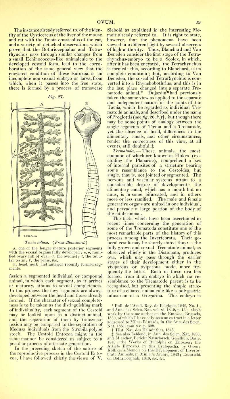 The instance already referred to, of the iden- tity of the Cysticercus of the liver of the mouse and rat with the Taenia crassicollis of the cat, and a variety of detached observations which prove that the Bothriocephalus and Tetra- rhynchus pass through similar changes from a small Echinococcus-like animalcule to the developed cestoid form, lead to the corro- boration of the same general view that the encysted condition of these Entozoa is an incomplete non-sexual embryo or larva, from which, when it passes into the free state, there is formed by a process of transverse Fig. 27. Taenia solium. (From Blanehard.) A, one of the longer mature posterior segments with the sexual organs fully developed ; o, o, rami- fied ovary full of ova; o', the oviduct; t, the tubu- lar testis ; t', the penis, &e. b, head, neck and anterior recently formed seg- ments. fission a segmented individual or compound animal, in which each segment, as it arrives at maturity, attains to sexual completeness. In this process the new segments are always developed between the head and those already formed. If the character of sexual complete- ness is to be taken as the distinguishing mark of individuality, each segment of the Cestoid may be looked upon as a distinct animal, and the separation of them by transverse fission may be compared to the separation of Medusa individuals from the Strobila polype stock. The Cestoid Entozoa might in the same manner be considered as subject to a peculiar process of alternate generation. In the preceding sketch of the nature of the reproductive process in the Cestoid Ento- zoa, I have followed chiefly the views of V. Siebold as explained in the interesting Me- moir already referred to. It is right to state, however, that the phenomena have been viewed in a different light by several observers of high authority. Thus, Blanehard and Van Beneden consider the first stage of the Tetra- rhynchus-embryo to be a Scolex, in which, after it has been encysted, the Tetrarhynchus is formed : this, according to Blanehard, is its complete condition ; but, according to Van Beneden, the so-called Tetrarhynchus is con- verted into a Rhynchobothrius, and this is in the last place changed into a separate Tre- matode animal.* Dujardin*had previously taken the same view as applied to the separate and independent nature of the joints of the Taenia, which he regarded as individual Tre- matode animals, and described under the name of Proglottis (see26./t'.)f; but though there may be some points of analogy between the single segments of Taenia and a Trematode, yet the absence of head, differences in the alimentary canals, and other circumstances, render the correctness of this view, at all events, still doubtful, t Trematoda. — These animals, the most common of which are known as Flukes (ex- cluding the Planarias), comprehend a set of internal parasites of a structure bearing some resemblance to the Cestoidea, but single, that is, not jointed or segmented. The nervous and vascular systems attain to a considerable degree of development: the alimentary canal, which has a mouth but no anus, is in some bifurcated, and in others more or less ramified. The male and female generative organs are united in one individual, and pervade a large portion of the body of the adult animal. The facts which have been ascertained in recent times concerning the generation of some of the Trematoda constitute one of the most remarkable parts of the history of this process among the Invertebrata. Their ge- neral result may be shortly stated thus: — the fully grown and sexual Trematode animal, as observed chiefly in the Distomata, produces ova, which may pass through the earlier stages of their development either in the viviparous or oviparous mode, more fre- quently the latter. Each of these ova has formed from it an embryo in which no re- semblance to the Trematode parent is to be recognised, but presenting the simple struc- ture of a ciliated animalcule like a polygastric infusorian or a Gregarina. This embryo is * Bull, de 1'Acad. Roy. de Belgique, 1849, No. 1., and Ann. des Scien. Nat. vol. xi. 1849, p. 13.; also a work by the same author on the Entozoa, Brussels, 1850, of which I have only seen an extract in a letter addressed to Milne-Edwards, in the Ann. des Scien. Nat. 1851. torn xv. p. 309. t Hist. Nat, des Helminthes, 1845. % See also Leblond, in Ann. des Scien. Nat. 1836, and Miescher, Bericht Natuvforsch. Gesellsch. Basle, 1840 ; the Works of Rudolphi on Entozoa; the Article Entozoa in this Cyclopajdia, by Owen; Kblliker's Memoir on the Development of Inverte- brate Animals, in Milller's Archiv, 1843 ; Eschricht on Bothrioeephali, 1810, &e. &c.