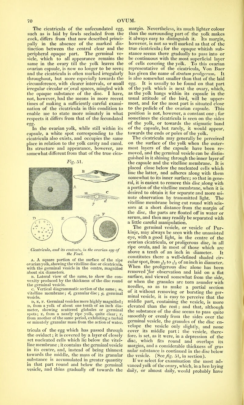 The cicatricula of the unfecundated egg, such as is laid by fowls secluded from the cock, differs from that now described princi- pally in the absence of the marked dis- tinction between the central clear and the peripheral opaque part. The germinal ve- sicle, which to all appearance remains the same in the ovary till the yolk leaves the ovarian capsule, is now no longer to be seen; and the cicatricula is often marked irregularly throughout, but more especially towards the circumference, with clearer intervals, or small irregular circular or oval spaces, mingled with the opaque substance of the disc. I have, not, however, had the means in more recent times of making a sufficiently careful exami- nation of the cicatricula in this condition to enable me to state more minutely in what respects it differs from that of the fecundated eSS- . In the ovarian yolk, while still within its capsule, a white spot corresponding to the cicatricula also exists, and occupies the same place in relation to the yolk cavity and canal. Its structure and appearance, however, are somewhat different from that of the true cica- Fig.5]. Cicatricula, and its contents, in the ovarian egg of the Fowl. A. A square portion of the surface of the ripe ovarian yolk, showing the vitelline disc or cicatncula, with the germinal vesicle in the centre, magnified about six diameters. b. Lateral view of the same, to show the con- vexity produced by the thickness of the disc round the germinal vesicle. c. Vertical diagrammatic section of the same; m, vitelline membrane; d, granular disc; g, germinal vesicle. d. e, f. Germinal vesicles more highly magnified; d, from a yolk of about one tenth of an inch dia- meter, showing scattered globules or germinal spots; e, from a nearly ripe yolk, quite clear; f, from another of the same period, exhibiting a turbid or minutely granular mass from the action of water. tricula of the egg which has passed through the oviduct; it is covered by a layer of closely set nucleated cells which lie below the vitel- line membrane ; it contains the germinal vesicle in its centre, and, instead of being thinnest towards the middle, the mass of its granular substance is accumulated in greater quantity in that part round and below the germinal vesicle, and thins gradually off towards the margin. Nevertheless, its much lighter colour than the surrounding part of the yolk makes it always easy to distinguish it. Its margin, however, is not so well marked as that of the true cicatricula; for the opaque whitish sub- stance seems there gradually to pass into or be continuous with the most superficial layer of cells covering the yolk. To this ovarian representative of the cicatricula, Von Baer has given the name of stratum proligemm. It is also somewhat smaller than that of the laid egg. It is usually to be found on that part of the yolk which is next the ovary, which, as the yolk hangs within its capsule in the usual attitude of the bird, will be upper- most, and for the most part is situated close to the pedicle of the ovarian capsule. This position is not, however, a constant one ; for sometimes the cicatricula is seen on the sides of the yolk, or towards the stigmatic band of the capsule, but rarely, it would appear, towards the ends or poles of the yolk. The cicatricula may generally be perceived on the surface of the yolk when the outer- most layers of the capsule have been re- moved, and the germinal vesicle can be distin- guished in it shining through the inner layer of the capsule and the vitelline membrane. It is placed close below the nucleated cells which line the latter, and adheres along with them somewhat to its inner surface; so that in gene- ral, it is easiest to remove this disc along with a portion of the vitelline membrane* when it is desired to obtain it for separate and more mi- nute observation by transmitted light. The vitelline membrane being cut round with scis- sors at a short distance from the margin of the disc, the parts are floated off in water or serum, and then may readily be separated with a little careful manipulation. The germinal vesicle, or vesicle of Pur- kinje, may always be seen with the unassisted eye, with a good light, in the centre of the ovarian cicatricula, or proligerous disc, in all ripe ovula, and in most of those which are above a tenth of an inch in diameter. It constitutes there a well-defined shaded cir- cular spot, from ?iy to ^ of an inch in diameter. When the proligerous disc alone has been removed for observation and laid on a flat surface, and viewed somewhat from the side, or when the granules are torn asunder with needles, so as to make a partial section of it without removing or bursting the ger- minal vesicle, it is easy to perceive that the middle part, containing the vesicle, is more elevated than the rest; and that, although the substance of the disc seems to pass quite smoothly or evenly from the sides over the germinal vesicle, the granules of the disc en- velope the vesicle only slightly, and none cover its middle part: the vesicle, there- fore, is set, as it were, in a depression of the disc, which fits round and overlaps its margins, and a considerable thickness of gra- nular substance is continued in the disc below the vesicle. (See Jig. 51, in section). If we select for examination the most ad- vanced yolk of the ovary, which, in a hen laying daily, or almost daily, would probably have