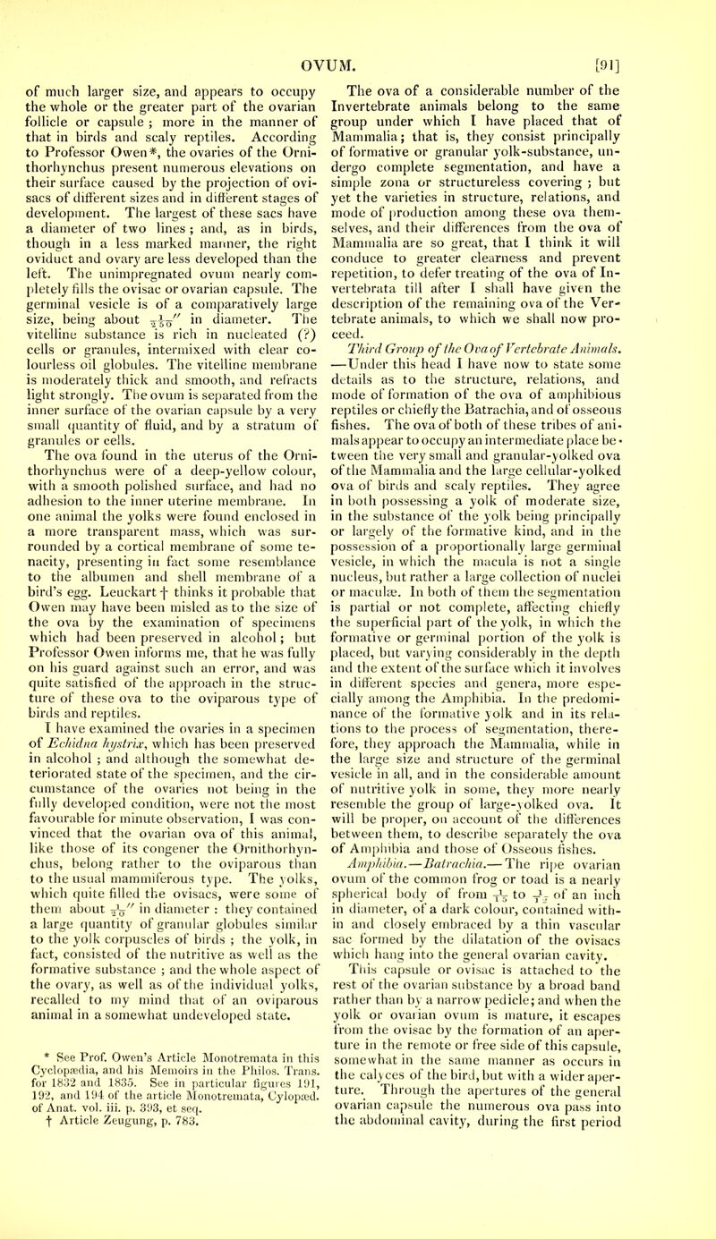 of much larger size, and appears to occupy the whole or the greater part of the ovarian follicle or capsule ; more in the manner of that in birds and scaly reptiles. According to Professor Owen*, the ovaries of the Orni- thorhynchus present numerous elevations on their surface caused by the projection of ovi- sacs of different sizes and in different stages of development. The largest of these sacs have a diameter of two lines ; and, as in birds, though in a less marked manner, the right oviduct and ovary are less developed than the left. The unimpregnated ovum nearly com- pletely fills the ovisac or ovarian capsule. The germinal vesicle is of a comparatively large size, being about ^lo in diameter. The vitelline substance is rich in nucleated (?) cells or granules, intermixed with clear co- lourless oil globules. The vitelline membrane is moderately thick and smooth, and refracts light strongly. The ovum is separated from the inner surface of the ovarian capsule by a very small quantity of fluid, and by a stratum of granules or cells. The ova found in the uterus of the Orni- thorhynchus were of a deep-yellow colour, with a smooth polished surface, and had no adhesion to the inner uterine membrane. In one animal the yolks were found enclosed in a more transparent mass, which was sur- rounded by a cortical membrane of some te- nacity, presenting in fact some resemblance to the albumen and shell membrane of a bird's egg. Leuckarty thinks it probable that Owen may have been misled as to the size of the ova by the examination of specimens which had been preserved in alcohol; but Professor Owen informs me, that he was fully on his guard against such an error, and was quite satisfied of the approach in the struc- ture of these ova to the oviparous type of birds and reptiles. I have examined the ovaries in a specimen of Echidna hystrix, which has been preserved in alcohol ; and although the somewhat de- teriorated state of the specimen, and the cir- cumstance of the ovaries not being in the fully developed condition, were not the most favourable for minute observation, I was con- vinced that the ovarian ova of this animal, like those of its congener the Ornithorhyn- chus, belong rather to the oviparous than to the usual mammiferous type. The yolks, which quite filled the ovisacs, were some of them about fe in diameter : they contained a large quantity of granular globules similar to the yolk corpuscles of birds ; the yolk, in fact, consisted of the nutritive as well as the formative substance ; and the whole aspect of the ovary, as well as of the individual yolks, recalled to my mind that of an oviparous animal in a somewhat undeveloped state. * See Prof. Owen's Article Monotremata in this Cyclopaedia, and his Memoirs in the Philos. Trans, for 1832 and 1835. See in particular figures 191, 192, and 194 of the article Monotremata, Cylopsed. of Anat. vol. iii. p. 393, et seq. •(■ Article Zeugung, p. 783. The ova of a considerable number of the Invertebrate animals belong to the same group under which I have placed that of Mammalia; that is, they consist principally of formative or granular yolk-substance, un- dergo complete segmentation, and have a simple zona or structureless covering ; but yet the varieties in structure, relations, and mode of production among these ova them- selves, and their differences from the ova of Mammalia are so great, that I think it will conduce to greater clearness and prevent repetition, to defer treating of the ova of In- vertebrata till after I shall have given the description of the remaining ova of the Ver- tebrate animals, to which we shall now pro- ceed. Third Group of the Ova of Vertebrate Animals. —Under this head I have now to state some details as to the structure, relations, and mode of formation of the ova of amphibious reptiles or chiefly the Batrachia, and of osseous fishes. The ova of both of these tribes of ani- mals appear to occupy an intermediate place be • tween the very small and granular-yolked ova of the Mammalia and the large cellular-yolked ova of birds and scaly reptiles. They agree in both possessing a yolk of moderate size, in the substance of the yolk being principally or largely of the formative kind, and in the possession of a proportionally large germinal vesicle, in which the macula is not a single nucleus, but rather a large collection of nuclei or maculae. In both of them the segmentation is partial or not complete, affecting chiefly the superficial part of the yolk, in which the formative or germinal portion of the yolk is placed, but varying considerably in the depth and the extent of the surface which it involves in different species and genera, more espe- cially among the Amphibia. In the predomi- nance of the formative yolk and in its rela- tions to the process of segmentation, there- fore, they approach the Mammalia, while in the large size and structure of the germinal vesicle in all, and in the considerable amount of nutritive yolk in some, they more nearly resemble the group of large-yolked ova. It will be proper, on account of the differences between them, to describe separately the ova of Amphibia and those of Osseous fishes. Amphibia.—Batrachia.— The ripe ovarian ovum of the common frog or toad is a nearly spherical hotly of from tl to of an inch in diameter, of a dark colour, contained with- in and closely embraced by a thin vascular sac formed by the dilatation of the ovisacs which hang into the general ovarian cavity. This capsule or ovisac is attached to the rest of the ovarian substance by a broad band rather than by a narrow pedicle; and when the yolk or ovarian ovum is mature, it escapes from the ovisac by the formation of an aper- ture in the remote or free side of this capsule, somewhat in the same manner as occurs in the calyces of the bird, but with a wider aper- ture. Through the apertures of the general ovarian capsule the numerous ova pass into the abdominal cavity, during the first period