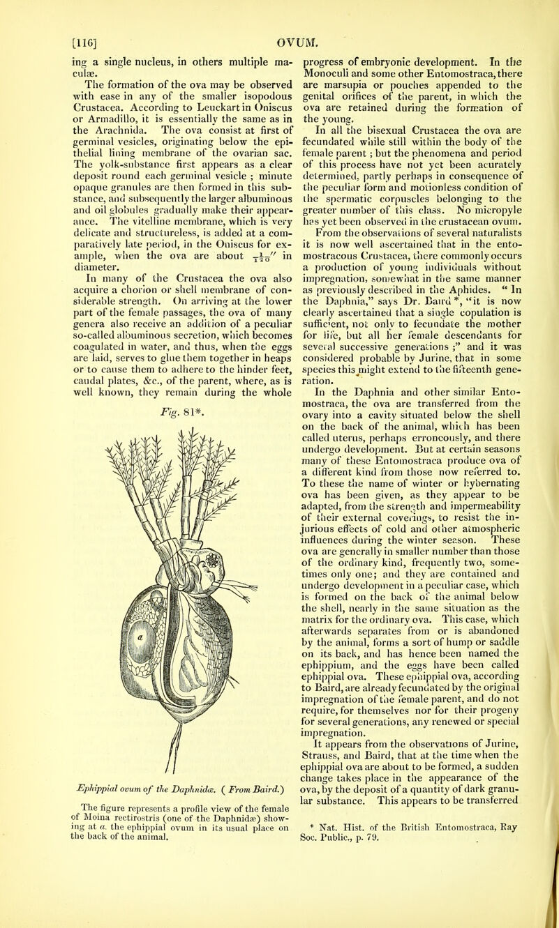 ing a single nucleus, in others multiple ma- culae. The formation of the ova may be observed with ease in any of the smaller isopodous Crustacea. According to Leuckart in Oniscus or Armadillo, it is essentially the same as in the Arachnida. The ova consist at first of germinal vesicles, originating below the epi- thelial lining membrane of the ovarian sac. The yolk-substance first appears as a clear deposit round each germinal vesicle ; minute opaque granules are then formed in this sub- stance, and subsequently the larger albuminous and oil globules gradually make their appear- ance. The vitelline membrane, which is very delicate and structureless, is added at a com- paratively late period, in the Oniscus for ex- ample, when the ova are about in diameter. In many of the Crustacea the ova also acquire a chorion or shell membrane of con- siderable strength. On arriving at the lower part of the female passages, the ova of many genera also receive an addition of a peculiar so-called albuminous secretion, which becomes coagulated in water, and thus, when the eggs are laid, serves to glue them together in heaps or to cause them to adhere to the hinder feet, caudal plates, &c, of the parent, where, as is well known, they remain during the whole Fig. 81*. Ephippial ovum of the Daplinidcc. ( From Bawd.) The figure represents a profile view of the female of Moina rectirostris (one of the Daphnidai) show- ing at n. the ephippial ovum in its usual place on the back of the animal. progress of embryonic development. In the Monoculi and some other Entomostraca, there are marsupia or pouches appended to the genital orifices of the parent, in which the ova are retained during the formation of the young. In all the bisexual Crustacea the ova are fecundated while still within the body of the female parent; but the phenomena and period of this process have not yet been acurately determined, partly perhaps in consequence of the peculiar form and motionless condition of the spermatic corpuscles belonging to the greater number of this class. No micropyle has yet been observed in the crustacean ovum. From the observations of several naturalists it is now well ascertained that in the ento- mostracous Crustacea, there commonly occurs a production of young individuals without impregnation, somewhat in the same manner as previously described in the Aphides.  In the Daphnia, says Dr. Baud*, it is now clearly ascertained that a single copulation is sufficient, not only to fecundate the mother for life, but all her female descendants for several successive generations ; and it was considered probable by Jurine, that in some species this_might extend to the fifteenth gene- ration. In the Daphnia and other similar Ento- mostraca, the ova are transferred from the ovary into a cavity situated below the shell on the back of the animal, which has been called uterus, perhaps erroneously, and there undergo development. But at certain seasons many of these Entomostraca produce ova of a different kind from those now referred to. To these the name of winter or hybernating ova has been given, as they appear to be adapted, from the strength and impermeability of their external coverings, to resist the in- jurious effects of cold and other atmospheric influences during the winter season. These ova are generally in smaller number than those of the ordinary kind, frequently two, some- times only one; and they are contained and undergo development in a peculiar case, which is formed on the back of the animal below the shell, nearly in the same situation as the matrix for the ordinary ova. This case, which afterwards separates from or is abandoned by the animal, forms a sort of hump or saddle on its back, and has hence been named the ephippium, and the eggs have been called ephippial ova. These ephippial ova, according to Baird,are already fecundated by the original impregnation of the female parent, and do not require, for themselves nor for their progeny for several generations, any renewed or special impregnation. It appears from the observations of Jurine, Strauss, and Baird, that at the time when the ephippial ova are about to be formed, a sudden change takes place in the appearance of the ova, by the deposit of a quantity of dark granu- lar substance. This appears to be transferred * Nat. Hist, of the British Entomostraca, Ray Soc. Public, p. 79.