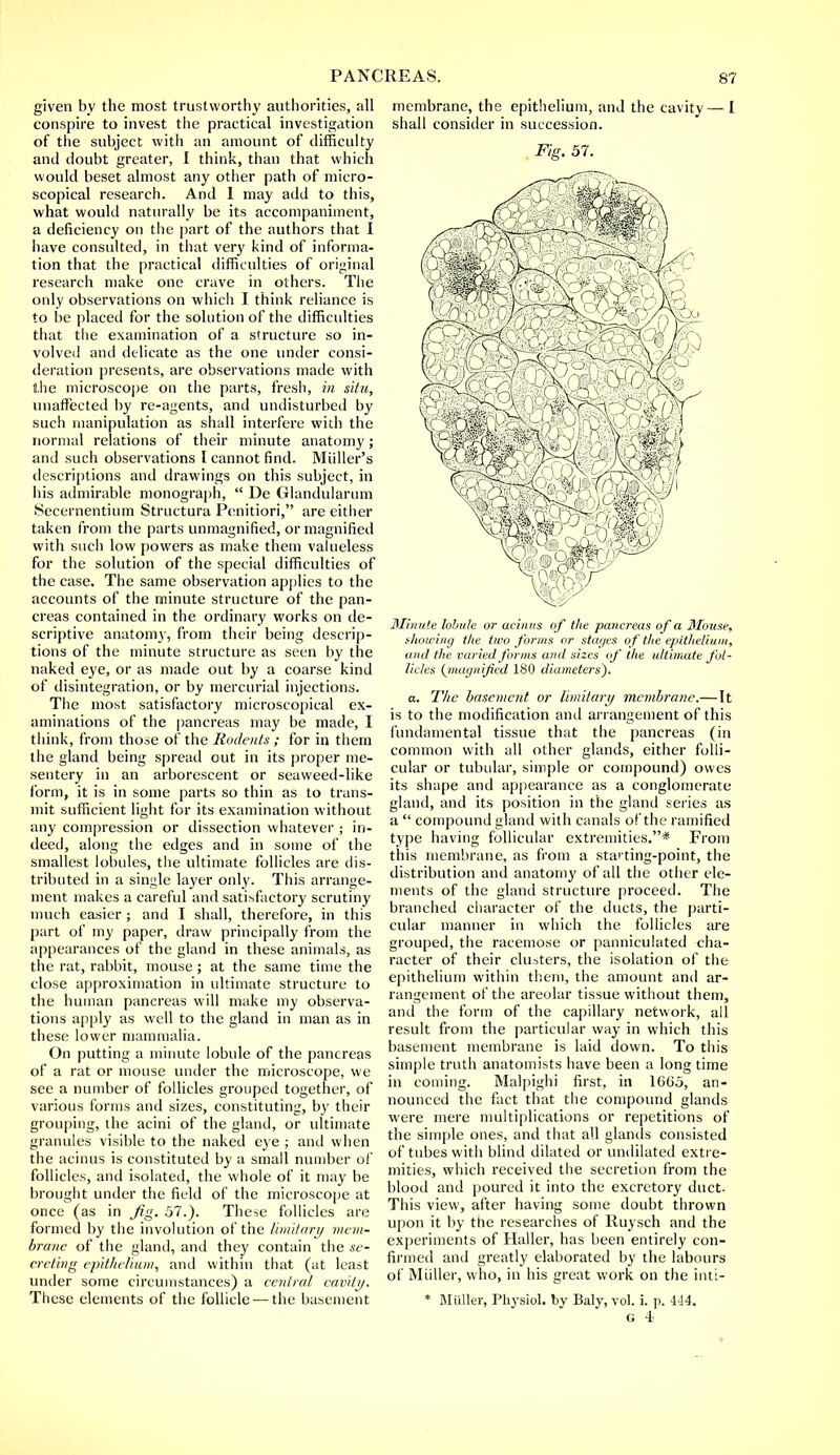 givevi by the most trustworthy authorities, all conspire to invest the practical investigation of the subject with an amount of difficulty and doubt greater, I think, than that which would beset almost any other path of micro- scopical research. And 1 may add to this, what would naturally be its accompaniment, a deficiency on the part of the authors that I have consulted, in that very kind of informa- tion that the practical difficulties of original research make one crave in others. The only observations on which I think reliance is to be placed for the solution of the difficulties that the examination of a structure so in- volved and delicate as the one under consi- deration presents, are observations made with the microscope on the parts, fresh, in situ, unaffected by re-agents, and undisturbed by such manipulation as shall interfere with the normal relations of their minute anatomy; and such observations I cannot find. Midler's descriptions and drawings on this subject, in his admirable monograph,  De Glandularum Secernentium Structura Penitiori, are either taken from the parts unmagnified, or magnified with such low powers as make them valueless for the solution of the special difficulties of the case. The same observation applies to the accounts of the minute structure of the pan- creas contained in the ordinary works on de- scriptive anatomy, from their being descrip- tions of the minute structure as seen by the naked eye, or as made out by a coarse kind of disintegration, or by mercurial injections. The most satisfactory microscopical ex- aminations of the pancreas may be made, I think, from those of the Rodents; for in them the gland being spread out in its proper me- sentery in an arborescent or seaweed-like form, it is in some parts so thin as to trans- mit sufficient light for its examination without any compression or dissection whatever ; in- deed, along the edges and in some of the smallest lobules, the ultimate follicles are dis- tributed in a single layer only. This arrange- ment makes a careful and satisfactory scrutiny much easier; and I shall, therefore, in this part of my paper, draw principally from the appearances of the gland in these animals, as the rat, rabbit, mouse ; at the same time the close approximation in ultimate structure to the human pancreas will make my observa- tions apply as well to the gland in man as in these lower mammalia. On putting a minute lobule of the pancreas of a rat or mouse under the microscope, we see a number of follicles grouped together, of various forms and sizes, constituting, by their grouping, the acini of the gland, or ultimate granules visible to the naked eye ; and when the acinus is constituted by a small number of follicles, and isolated, the whole of it may be brought under the field of the microscope at once (as in Jig. 57.). These follicles are formed by the involution of the limitary mem- brane of the gland, and they contain the se- creting epithelium, and within that (at least under some circumstances) a central cavity. These elements of the follicle — the basement membrane, the epithelium, and the cavity— I shall consider in succession. Fig. 57. Minute lobule or acinus of the pancreas of a 3Iouse, .showing the two forms or stages of the epithelium, and the varied forms and sizes of the ultimate fol- licles {inaynified 180 diameters). a. The basement or limitary membrane.— It is to the modification and arrangement of this fundamental tissue that the pancreas (in common with all other glands, either folli- cular or tubular, simple or compound) owes its shape and appearance as a conglomerate gland, and its position in the gland series as a  compound gland with canals of the ramified type having follicular extremities.* From this membrane, as from a sta'ting-point, the distribution and anatomy of all the other ele- ments of the gland structure proceed. The branched character of the ducts, the parti- cular manner in which the follicles are grouped, the racemose or panniculated cha- racter of their clusters, the isolation of the epithelium within them, the amount and ar- rangement of the areolar tissue without them, and the form of the capillary network, all result from the particular way in which this basement membrane is laid down. To this simple truth anatomists have been a long time in coming. Malpighi first, in 1665, an- nounced the fact that the compound glands were mere multiplications or repetitions of the simple ones, and that all glands consisted of tubes with blind dilated or undiluted extre- mities, which received the secretion from the blood and poured it into the excretory duct. This view, after having some doubt thrown upon it by the researches of lluysch and the experiments of Haller, has been entirely con- firmed and greatly elaborated by the labours of Miiller, who, in his great work on the inti- * Miiller, Physiol, by Baly, vol. i. p. 4-14. G 4-