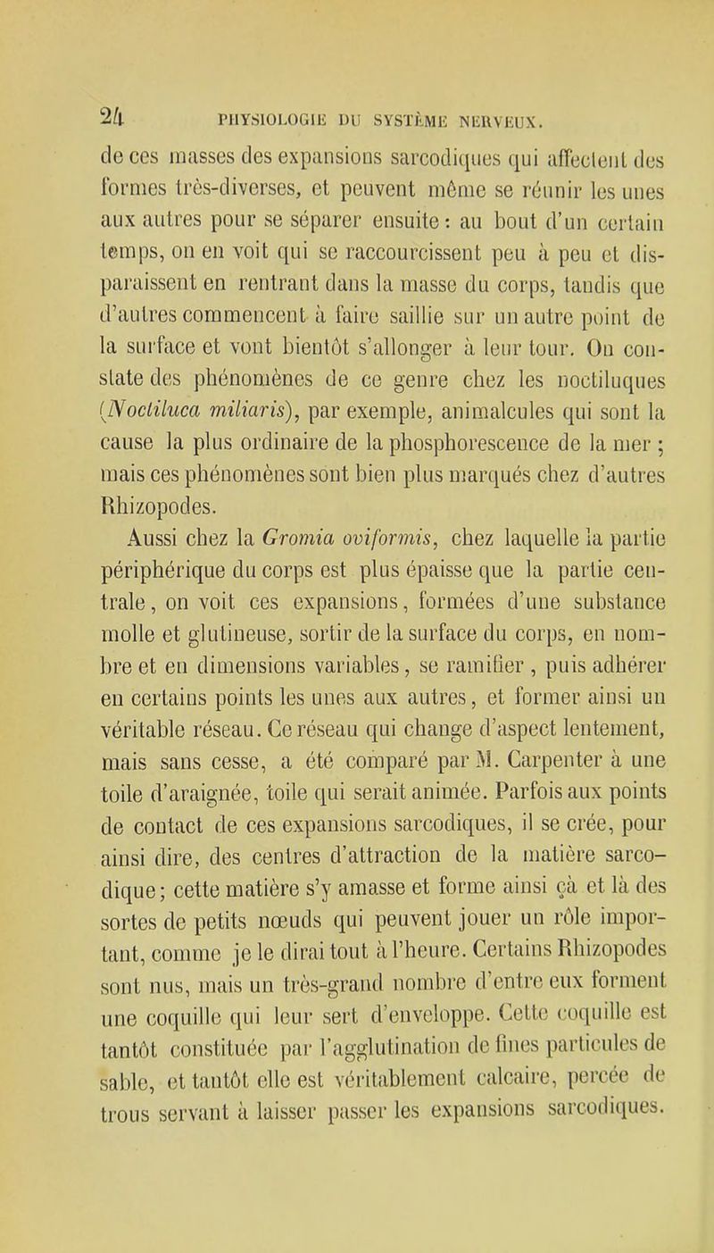 de ces masses des expansions sarcodiques qui afleclent des formes très-diverses, et peuvent môme se réunir les unes aux autres pour se séparer ensuite: au bout d'un certain temps, on en voit qui se raccourcissent peu à peu et dis- paraissent en rentrant dans la masse du corps, tandis que d'autres commencent à l'aire saillie sur un autre point de la surface et vont bientôt s'allonger à leur tour. On con- state des phénomènes de ce genre chez les noctiluques (Nocliluca miliaris), par exemple, animalcules qui sont la cause la plus ordinaire de la phosphorescence de la mer ; mais ces phénomènes sont bien plus marqués chez d'autres Rhizopodes. Aussi chez la Gromia oviformis, chez laquelle la partie périphérique du corps est plus épaisse que la partie cen- trale, on voit ces expansions, formées d'une substance molle et glutineuse, sortir de la surface du corps, en nom- bre et en dimensions variables, se ramifier , puis adhérer en certains points les unes aux autres, et former ainsi un véritable réseau. Ce réseau qui change d'aspect lentement, mais sans cesse, a été comparé par M. Carpenter à une toile d'araignée, toile qui serait animée. Parfois aux points de contact de ces expansions sarcodiques, il se crée, pour ainsi dire, des centres d'attraction de la matière sarco- dique ; cette matière s'y amasse et forme ainsi çà et là des sortes de petits nœuds qui peuvent jouer un rôle impor- tant, comme je le dirai tout à l'heure. Certains Rhizopodes sont nus, mais un très-grand nombre d'entre eux forment une coquille qui leur sert d'enveloppe. Celle coquille est tantôt constituée par l'agglutination de fines particules de sable, et tantôt elle est véritablement calcaire, percée de trous servant à laisser passer les expansions sarcodiques.