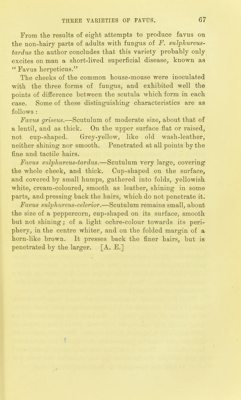 From the results of eight attempts to produce favus on the non-hairy parts of adults with fungus of F. sulphureus- tardus the author concludes that this variety probably only excites on man a short-lived superficial disease, known as  Favus herpeticus. The cheeks of the common house-mouse were inoculated with the three forms of fungus, and exhibited well the points of difference between the scutula which form in each case. Some of these distinguishing characteristics are as follows : Favus griseus.—Scutulum of moderate size, about that of a lentil, and as thick. On the upper surface flat or raised, not cup-shaped. Grey-yellow, like old wash-leather, neither shining nor smooth. Penetrated at all points by the fine and tactile hairs. Favus sulphareus-tardus.—Scutulum very large, covering the whole cheek, and thick. Cup-shaped on the surface, and covered by small humps, gathered into folds, yellowish white, cream-coloured, smooth as leather, shining in some parts, and pressing back the hairs, which do not penetrate it. Favus sulphureus-celerior.—Scutulum remains small, about the size of a peppercorn, cup-shaped on its surface, smooth but not shining; of a light ochre-colour towards its peri- phery, in the centre whiter, and on the folded margin of a horn-like brown. It presses back the finer hairs, but is penetrated by the larger. [A. E.]