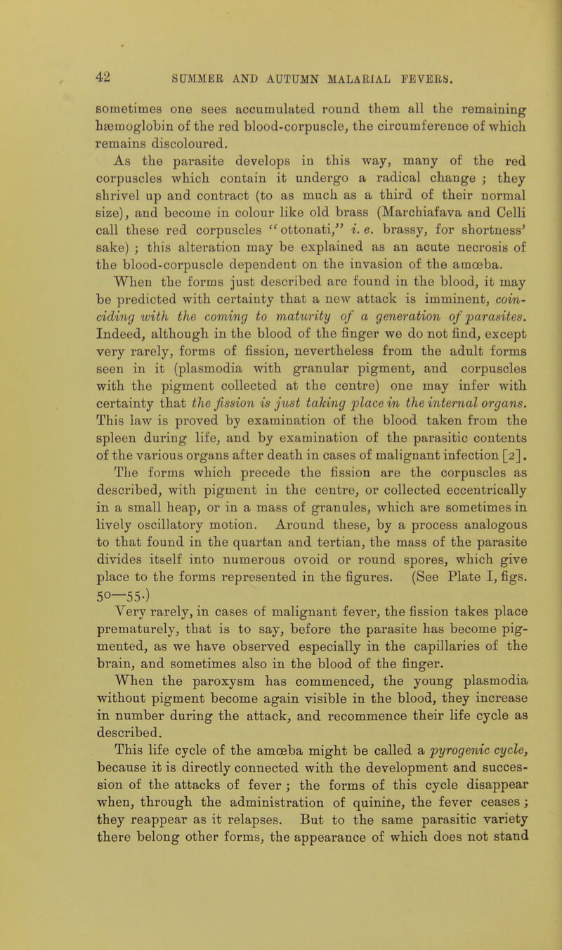 sometimes one sees accumulated round them all the remaining haemoglobin of the red blood-corpuscle, the circumfei'ence of which remains discoloured. As the parasite develops in this way, many of the red corpuscles which contain it undergo a radical change ; they shrivel up and contract (to as much as a third of their normal size), and become in colour like old brass (Marchiafava and Celli call these red corpuscles ''ottonati, i.e. brassy, for shortness' sake) ; this alteration may be explained as an acute necrosis of the blood-corpuscle dependent on the invasion of the amoeba. When the forms just described are found in the blood, it may be predicted with certainty that a new attack is imminent, coin- ciding with the coming to maturity of a generation of parasites. Indeed, although in the blood of the finger we do not find, except very rarely, forms of fission, nevertheless from the adult forms seen in it (plasmodia with granular pigment, and corpuscles with the pigment collected at the centre) one may infer with certainty that the fission is just taking place in the internal organs. This law is proved by examination of the blood taken from the spleen during life, and by examination of the parasitic contents of the various organs after death in cases of malignant infection [2]. The forms which precede the fission are the corpuscles as described, with pigment in the centre, or collected eccentrically in a small heap, or in a mass of granules, which are sometimes in lively oscillatory motion. Around these, by a process analogous to that found in the quartan and tertian, the mass of the parasite divides itself into numerous ovoid or round spores, which give place to the forms represented in the figures. (See Plate I, figs. 50—550 Very rarely, in cases of malignant fevei', the fission takes place prematurely, that is to say, before the parasite has become pig- mented, as we have observed especially in the capillaries of the brain, and sometimes also in the blood of the finger. When the paroxysm has commenced, the young plasmodia without pigment become again visible in the blood, they increase in number during the attack, and recommence their life cycle as described. This life cycle of the amoeba might be called a pyrogenic cycle, because it is directly connected with the development and succes- sion of the attacks of fever ; the forms of this cycle disappear when, through the administration of quinine, the fever ceases ; they reappear as it relapses. But to the same parasitic variety there belong other forms, the appearance of which does not stand