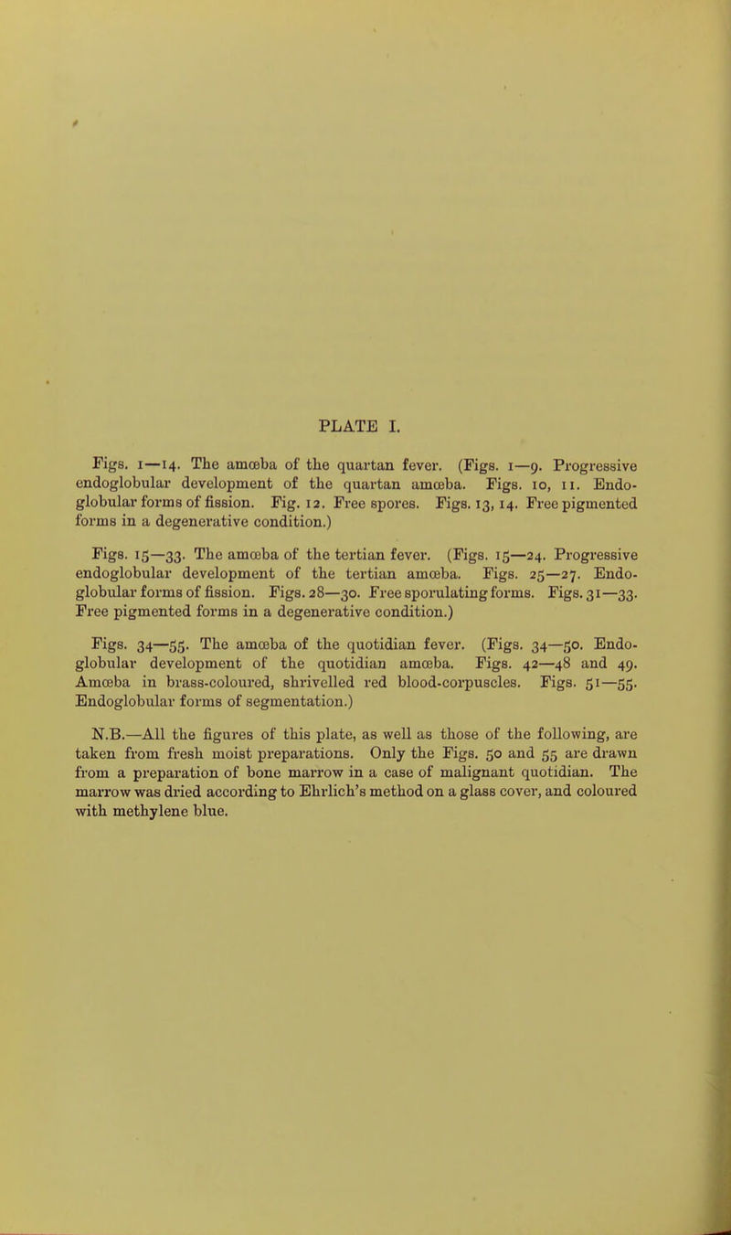 Figs. I—14. The amcBba of the quartan fever. (Figs. 1—9. Progressive endoglobular development of the quartan amojba. Figs. 10, 11. Endo- globular forms of fission. Fig. 12. Free spores. Figs. 13,14. Free pigmented forms in a degenerative condition.) Figs. 15—33. The amoeba of the tertian fever. (Figs. 15—24. Progressive endoglobular development of the tertian amceba. Figs. 25—27. Endo- globular forms of fission. Figs. 28—30. Free sporulating forms. Figs. 31—33. Free pigmented forms in a degenerative condition.) Figs. 34—55. The amoeba of the quotidian fever. (Figs. 34—50. Endo- globular development of the quotidian amoeba. Figs. 42—48 and 49. Amoeba in brass-coloured, shrivelled red blood-corpuscles. Figs. 51—55. Endoglobular forms of segmentation.) N.B.—All the figures of this plate, as well as those of the following, are taken from fresh moist preparations. Only the Figs. 50 and 55 are drawn from a preparation of bone marrow in a case of malignant quotidian. The marrow was dried according to Ehrlich's method on a glass cover, and coloured with methylene blue.