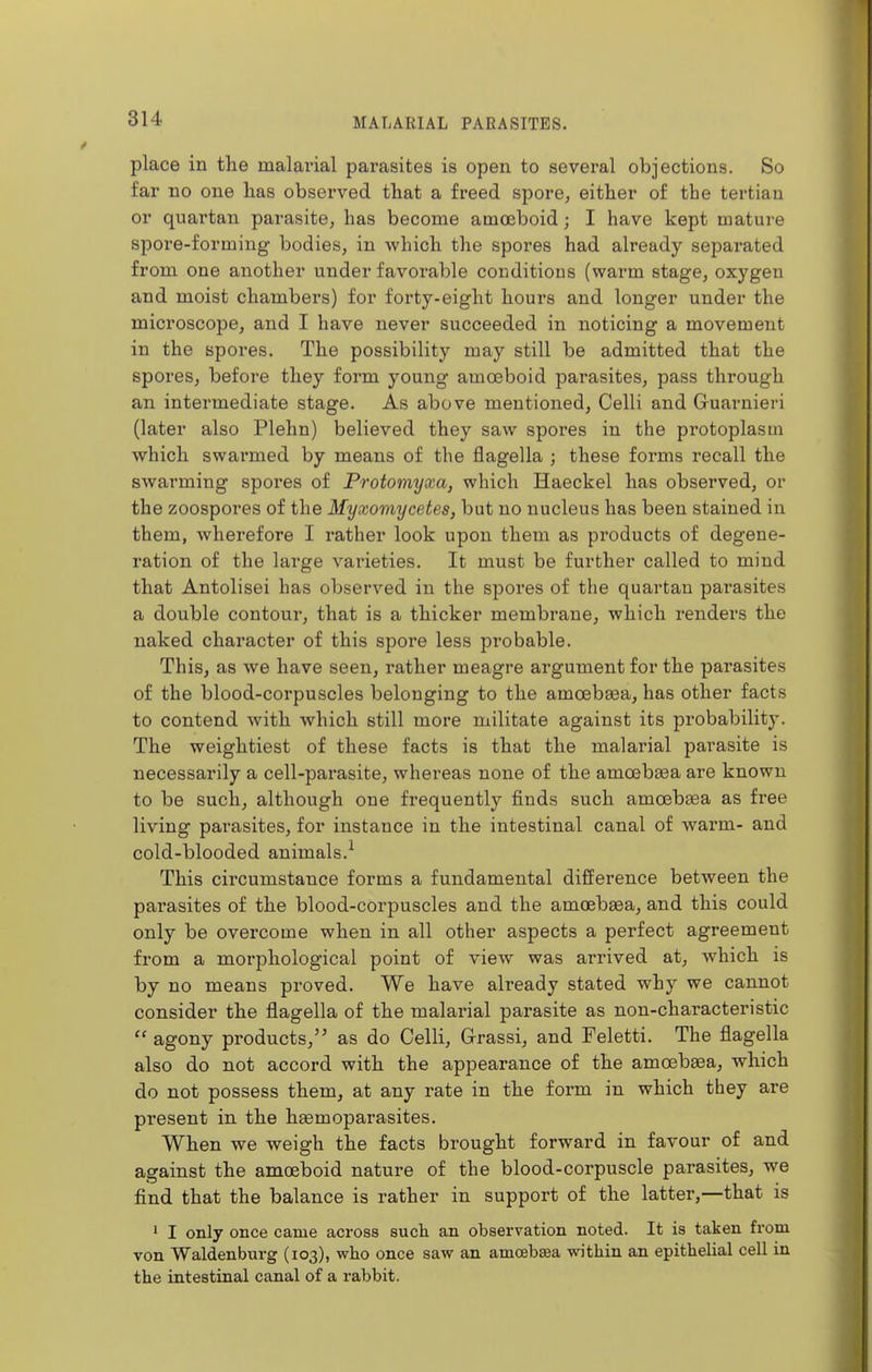place in the malarial parasites is open to several objections. So far no one lias observed tbat a freed spore, either of the tertian or quartan parasite, has become amceboid; I have kept mature spore-forming bodies, in which the spores had already separated from one another under favorable conditions (warm stage, oxygen and moist chambers) for forty-eight hours and longer under the microscope, and I have never succeeded in noticing a movement in the spores. The possibility may still be admitted that the spores, before they form young amoeboid parasites, pass through an intermediate stage. As above mentioned, Celli and Guarnieri (later also Plehn) believed they saw spores in the protoplasm which swarmed by means of the flagella ; these forms recall the swarming spores of Protomyxa, which Haeckel has observed, or the zoospores of the Myxomycetes, but no nucleus has been stained in them, wherefore I rather look upon them as products of degene- ration of the large varieties. It must be further called to mind that Antolisei has observed in the spores of the quartan parasites a double contour, that is a thicker membrane, which renders the naked character of this spore less probable. This, as we have seen, rather meagre argument for the parasites of the blood-corpuscles belonging to the amcebsea, has other facts to contend with which still more militate against its probability. The weightiest of these facts is that the malarial parasite is necessarily a cell-parasite, whereas none of the amoebaea are known to be such, although one frequently finds such amoebsea as free living parasites, for instance in the intestinal canal of warm- and cold-blooded animals.^ This circumstance forms a fundamental difference between the parasites of the blood-corpuscles and the amoebasa, and this could only be overcome when in all other aspects a perfect agreement from a morphological point of view was arrived at, which is by no means proved. We have already stated why we cannot consider the flagella of the malarial parasite as non-characteristic  agony products, as do Celli, Grrassi, and Feletti. The flagella also do not accord with the appearance of the amcebaea, which do not possess them, at any rate in the form in which they are present in the haemoparasites. When we weigh the facts brought forward in favour of and against the amoeboid nature of the blood-corpuscle parasites, we find that the balance is rather in support of the latter,—that is 1 I only once came across such an observation noted. It is taken from von Waldenburg (103), who once saw an amoebsea within an epithelial cell in the intestinal canal of a rabbit.