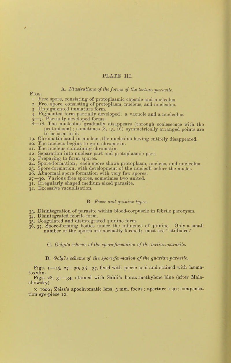 A. Illustrations of the forms of the tertian parasite. Figs. 1. Free spore, consisting of protoplasmic capsule and nucleolus. 2. Free spore, consisting of protoplasm, nucleus, and nucleolus. 3. Unpigmented immature form. 4. Pigmented form partially developed : a vacuole and a nucleolus. ,5—7. Partially developed forms. 8—18. The nucleolus gradually disappears (through coalescence with the protoplasm); sometimes (8, 15, 16) symmetrically arranged points are to be seen in it. 19. Chromatin band in nucleus, the nucleolus having entirely disappeared. 20. The nucleus begins to gain chromatin. 21. The nucleus containing chromatin. 22. Separation into nuclear part and protoplasmic part. 23. Preparing to form spores. 24. Spore-formation ; each spore shows protoplasm, nucleus, and nucleolus. 25. Spore-formation, with development of the nucleoli before the nuclei. 26. Abnormal spore-formation with very few spores. 27—30. Various free spores, sometimes two united. 31. Irregularly shaped medium-sized parasite. 32. Excessive vacuolisation. B. Fever and quinine types. 33. Disintegration of parasite within blood-corpuscle in febrile paroxysm. 34. Disintegrated febrile form. 35. Coagulated and disintegrated quinine form. 36. 37. Spore-forming bodies under the influence of quinine. Only a small number of the spores are normally formed; most are  stillborn. C. Golgi's scheme of (he spore-formation of the tertian parasite. D. Golgi's scheme of the spore-formation of the quartan parasite. Figs. I—15, 27—30, 35—37, fixed witli picric acid and stained with haema- toxylin. Figs. 28, 31—34, stained with Sahli's borax-methylene-blue (after Mala- chowsky). X 1000; Zeiss's apochromatic lens, 3 mm. focus; aperture 1*40; compensa-