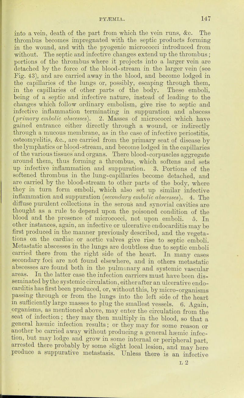 into a vein, death of the part from which the vein runs, &c. The thrombus becomes impregnated with the septic products forming in the wound, and with the pyogenic micrococci introduced from without. The septic and infective changes extend up the thrombus ; portions of the thrombus where it projects into a larger vein are detached by the force of the blood-stream in the larger vein (see Fig. 43), and are carried away in the blood, and become lodged in the capillaries of the lungs or, possibly, escaping through them, in the capillaries of other parts of the body. These emboli, being of a septic and infective nature, instead of leading to the changes which follow ordinary embolism, give rise to septic and infective inflammation terminating in suppuration and abscess {primary embolic abscesses). 2. Masses of micrococci which have gained entrance either directly through a wound, or indirectly through a mucous membrane, as in the case of infective periostitis, osteomyelitis, &c, are carried from the primary seat of disease by the lymphatics or blood-stream, and become lodged in the capillaries of the various tissues and organs. There blood-corpuscles aggregate around them, thus forming a thrombus, which softens and sets up infective inflammation and suppuration. 3. Portions of the softened thrombus in the lung-capillaries become detached, and are carried by the blood-stream to other parts of the body, where they in turn form emboli, which also set up similar infective inflammation and suppuration (secondary embolic abscesses). 4. The diffuse purulent collections in the serous and synovial cavities are thought as a rule to depend upon the poisoned condition of the blood and the presence of micrococci, not upon emboli. 5. In other instances, again, an infective or ulcerative endocarditis may be first produced in the manner previously described, and the vegeta- tions on the cardiac or aortic valves give rise to septic emboli. Metastatic abscesses in the lungs are doubtless due to septic emboli carried there from the right side of the heart. In many cases secondary foci are not found elsewhere, and in others metastatic abscesses are found both in the pulmonary and systemic vascular areas. In the latter case the infection carriers must have been dis- seminated by the systemic circulation, either after an ulcerative endo- carditis has first been produced, or, without this, by micro-organisms passing through or from the lungs into the left side of the heart in sufficiently large masses to plug the smallest vessels. 6. Again, organisms, as mentioned above, may enter the circulation from the seat of infection; they may then multiply in the blood, so that a general hfemic infection results; or they may for some reason or another be carried away without producing a general hfemic infec- tion, but may lodge and grow in some internal or peripheral part, arrested there probably by some slight local lesion, and may here produce a suppurative metastasis. Unless there is an infective ii 2