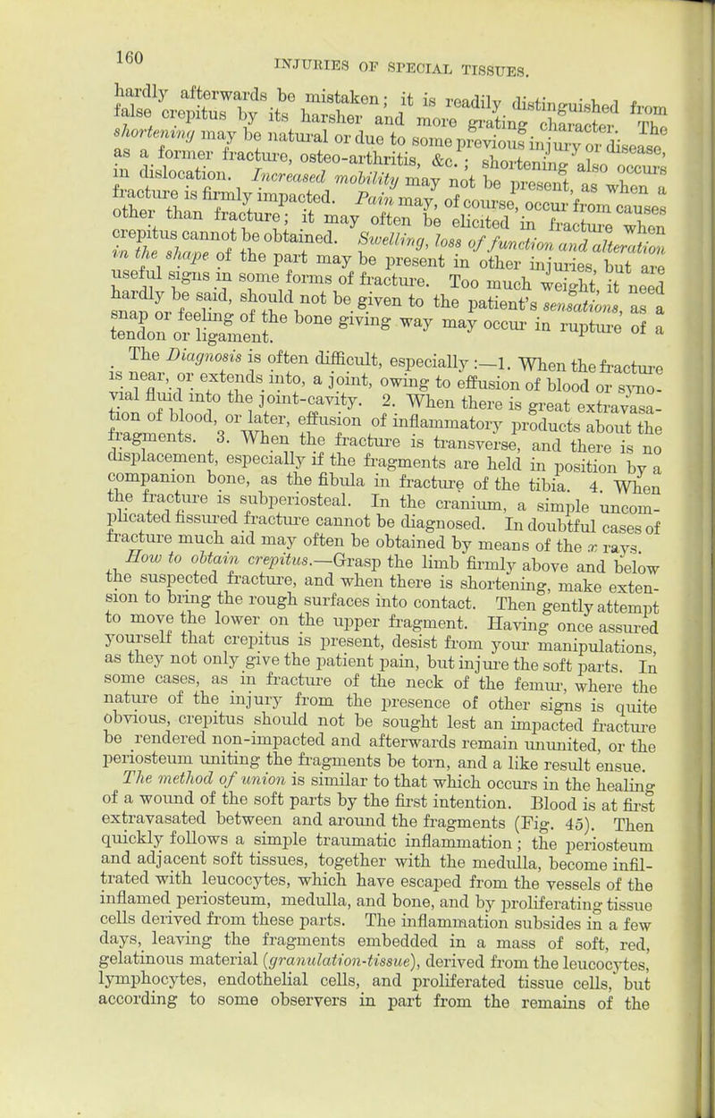 shorten^ may be natal or due to mnoB^S^iSS^k^ S Ltr-' I1'0' °8t7e°-arthritis' &C i shortening o ™2 in dislocation. Increased mobility may not be ra-eW « „ i. fracture,is firmly impacted. l^^t*JS£^S£££ other than fracture; it may often be atirifal p IL ^. 8 useM signs 2 some wYf fraSe Too^uch^ht, it^need iXfflf8 W ^ ^ ^ >* in of a The Diagnosis is often difficult, especially When the fracture is neai, or extends into, a joint, owing to effusion of blood or syne- vial fluid mto the joint-cavity. 2. When there is great extravasa fragments. 3. When the fracture is transverse, and there is no displacement, especially if the fragments are held in position bv a companion bone, as the fibula in fracture of the tibia. 4 When the fracture is subperiosteal. In the cranium, a simple uncom- plicated fissured fracture cannot be diagnosed. In doubtful cases of fracture much aid may often be obtained by means of the x ravs How to obtain crepitus.-Grasp the limb firmly above and below the suspected fracture, and when there is shortening, make exten sion to bring the rough surfaces into contact. Then gently attempt to move the lower on the upper fragment. Having once assured yourself that crepitus is present, desist from your manipulations as they not only give the patient pain, but injure the soft parts In some cases, as m fracture of the neck of the femur where the nature of the injury from the presence of other signs is quite obvious crepitus should not be sought lest an impacted fracture be rendered non-impacted and afterwards remain ununited, or the periosteum uniting the fragments be torn, and a like result ensue. The method of union is similar to that which occurs in the healin°- of a wound of the soft parts by the first intention. Blood is at first extravasated between and around the fragments (Fig. 45). Then quickly follows a simple traumatic inflammation; the periosteum and adjacent soft tissues, together with the medulla, become infil- trated with leucocytes, which have escaped from the vessels of the inflamed periosteum, medulla, and bone, and by proliferating tissue cells derived from these parts. The inflammation subsides in a few days^ leaving the fragments embedded in a mass of soft, red, gelatinous material (granulation-tissue), derived from the leucocytes,' lymphocytes, endothelial cells, and proliferated tissue cells, but according to some observers in part from the remains of the