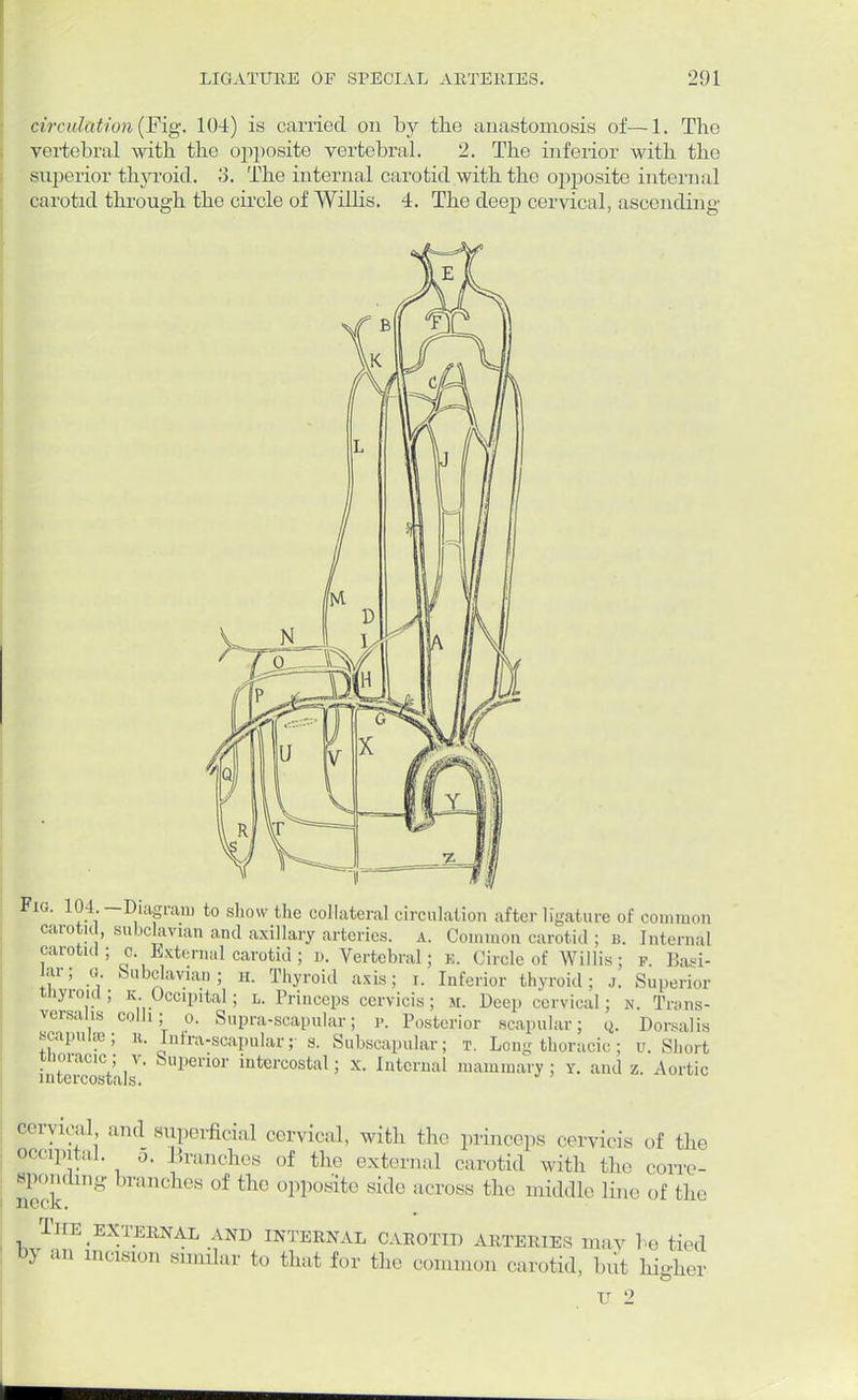 circulation (Fig. 104) is carried on by the anastomosis of—1. The vertebral with the opposite vertebral. 2. The inferior with the superior thyroid. '3. The internal carotid with the opposite internal carotid through the circle of Willis. 4. The deep cervical, ascending Fig. 104 —Diagram to show the collateral circulation after ligature of common carotid, subclavian and axillary arteries, a. Common carotid; b. Internal carotid; c. External carotid; d. Vertebral; e. Circle of Willis; p. Basi- lar; o. Subclavian; h. Thyroid axis; i. Inferior thyroid; J. Superior tnyroia; k Occipital; l. Princeps cervicis; m. Deep cervical; v. Trans- versals colli; o. Supra-scapular; p. Posterior scapular; q. Dorsalis scapula; n. Intra-scapular; s. Subscapular; t. Long thoracic; u. Short tnoracic ; v. Superior intercostal; x. Internal mammary; y. and z. Aortic iutcrcostals. cervical, and superficial cervical, with the princeps cervicis of the occipital. 5. Branches of the external carotid with the corre- sponding branches of the opposite side across the middle line of the THE EXTERNAL AND INTERNAL CAROTID ARTERIES may he tied by an incision similar to that for the common carotid, but higher U 2