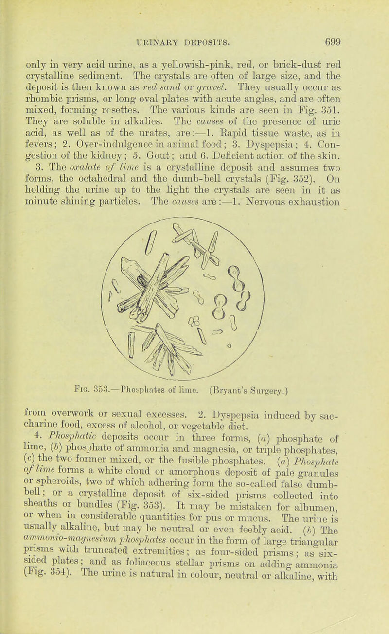 only in very acid urine, as a yellowish-pink, red, or brick-dust red crystalline sediment. The crystals are often of large size, and the deposit is tlien known as red sand or gravel. They usually occur as rhombic prisms, or long oval plates with acute angles, and are often mixed, forming rcsettes. The various kinds are seen in Pig. 351. They are soluble in alkalies. The causes of the presence of uric acid, as well as of the urates, are:—1. Eapid tissue waste, as in fevers; 2. Over-indulgence in animal food; 3. Dyspepsia ; 4. Con- gestion of the kidney; 5. Gout; and 6. Deficient action of the skin. 3. The oxalate of lime is a crystalline deposit and assumes two forms, the octahedral and the dumb-bell crystals (Dig. 352). On holding the urine up to the light the crystals are seen in it as minute shining particles. The causes are :—1. Nervous exhaustion Fig. 353.—Phosphates of lime. (Bryant's Surgery.) from overwork or sexual excesses. 2. Dyspepsia induced by sac- charine food, excess of alcohol, or vegetable diet, _ 4. Phosphatic deposits occur in three forms, (a) phosphate of lime, (b) phosphate of ammonia and magnesia, or triple phosphates, (c) the two former mixed, or the fusible phosphates, (a) Phosphate of lime forms a white cloud or amorphous deposit of pale granules or spheroids, two of which adhering form the so-called false dumb- bell; or a crystalline deposit of six-sided prisms collected into sheaths or bundles (Fig. 353). It may be mistaken for albumen, or when in considerable quantities for pus or mucus. The urine is usually alkaline, but may be neutral or even feebly acid, (b) The ammonio-magnesium phosphates occur in the form of large triangular prisms with truncated extremities; as four-sided prisms; as six- sided plates; and as foliaceous steUar prisms on adding ammonia (-big. 354). The urine is natural in colour, neutral or alkaline, with