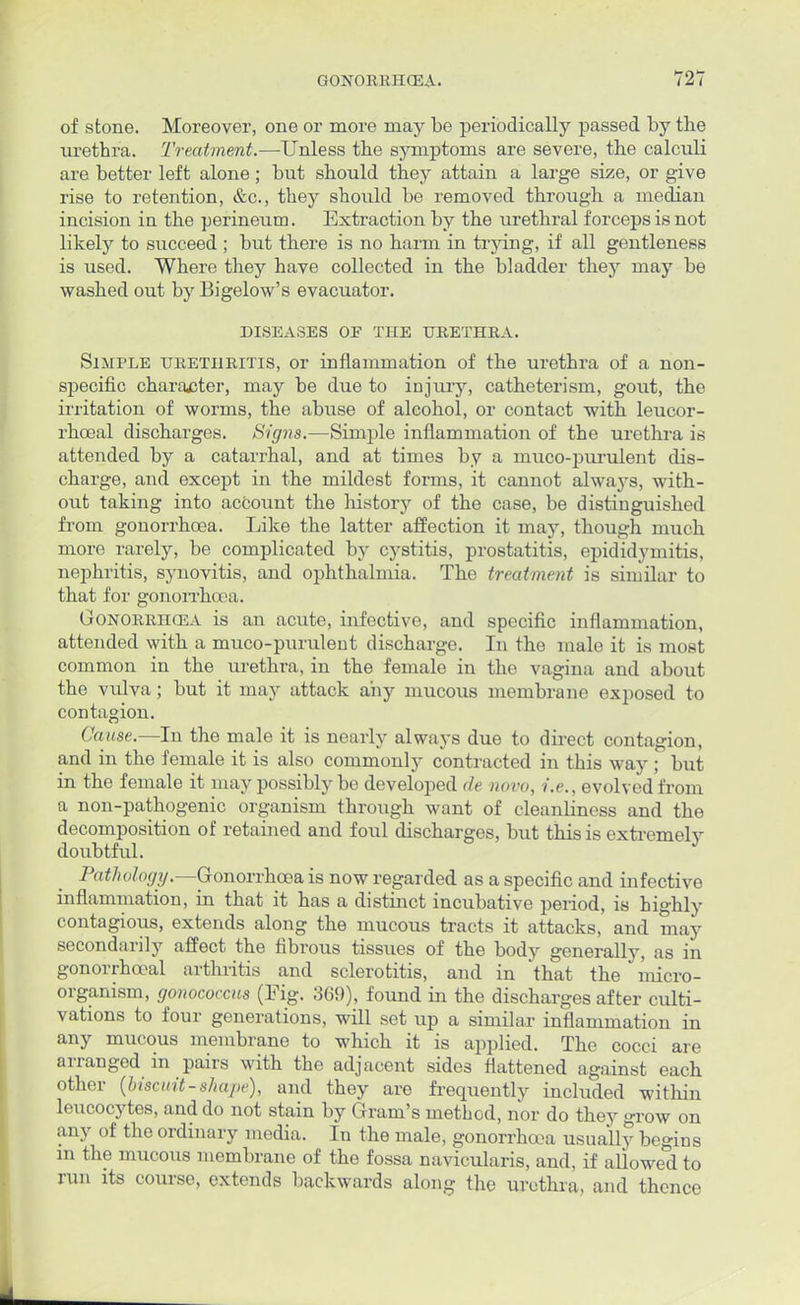 of stone. Moreover, one or more may be periodically passed by the urethra. Treatment.—Unless the symptoms are severe, the calculi are better left alone; but should they attain a large size, or give rise to retention, &c, they should be removed through a median incision in the perineum. Extraction by the urethral forceps is not likely to succeed ; but there is no harm in trying, if all gentleness is used. Where they have collected in the bladder they may be washed out by Bigelow's evacuator. DISEASES OF THE URETHRA. Simple urethritis, or inflammation of the urethra of a non- specific character, may be due to injury, catheterism, gout, the irritation of worms, the abuse of alcohol, or contact with leucor- rhoeal discharges. Signs.—Simple inflammation of the urethra is attended by a catarrhal, and at times by a muco-purulent dis- charge, and except in the mildest forms, it cannot always, with- out taking into account the history of the case, be distinguished from gonorrhoea. Like the latter affection it may, though much more rarely, be complicated by cystitis, prostatitis, epididymitis, nephritis, synovitis, and ophthalmia. The treatment is similar to that for gonorrhoea. Gonorrhoea is an acute, infective, and specific inflammation, attended with a muco-purulent discharge. In the male it is most common in the urethra, in the female in the vagina and about the vulva; but it may attack any mucous membrane exposed to contagion. Cause.—In the male it is nearly always due to direct contagion, and in the female it is also commonly contracted in this way ; but in the female it may possibly be developed de novo, i.e., evolved from a non-pathogenic organism through want of cleanliness and the decomposition of retained and foul discharges, but this is extremely doubtful. Pathology.—Gonorrhoea is now regarded as a specific and infective inflammation, in that it has a distinct incubative period, is highly contagious, extends along the mucous tracts it attacks, and may secondarily affect the fibrous tissues of the body generally, as in gonorrhoeal arthritis and sclerotitis, and in that the micro- organism, gonococcus (Fig. 369), found in the discharges after culti- vations to four generations, will set up a similar inflammation in any mucous membrane to which it is applied. The cocci are arranged in pairs with the adjacent sides flattened against each other (biscuit-shape), and they are frequently included within leucocytes, and do not stain by Gram's method, nor do they grow on any of the ordinary media. In the male, gonorrhoea usually begins in the mucous membrane of the fossa navicularis, and, if allowed to run its course, extends backwards along the urethra, and thence