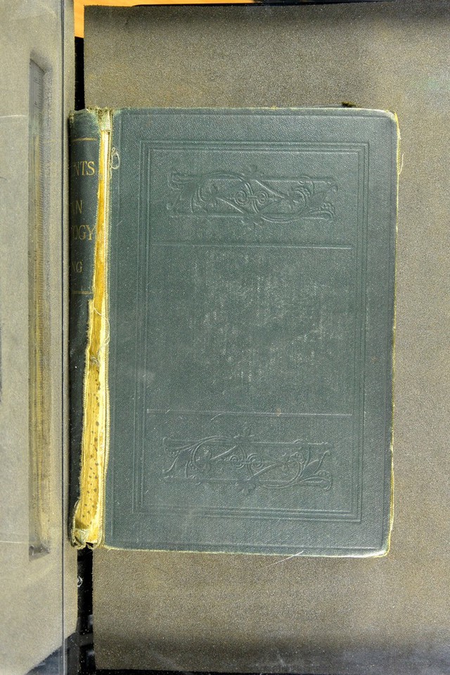 No text description is available for this image