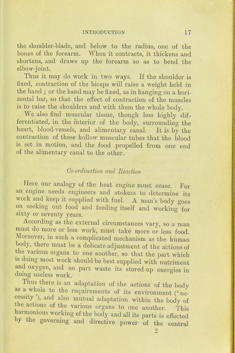 the shoulder-blade, and below to the radius, one of the bones of the forearm. When it contracts, it thickens and shortens, and draws up the forearm so as to bend the elbow-joint. Thus it may do work in two ways. If the shoulder is fixed, contraction of the biceps will raise a weight held in the hand ; or the hand may be fixed, as in hanging on a hori- zontal bar, so that the effect of contraction of the muscles is to raise the shoulders and with them the whole body. We also find muscular tissue, though less highly dif- ferentiated, in the interior of the body, surrounding the heart, blood-vessels, and alimentary canal. It is by the contraction of these hollow muscular tubes that the blood is set in motion, and the food propelled from one end of the alimentary canal to the other. Co-ordination and Reaction Here our analogy of the heat engine must cease. For an engine needs engineers and stokers to determine its work and keep it supplied with fuel. A man's body goes on seeking out food and feeding itself and working for sixty or seventy years. According as the external circumstances vary, so a man must do more or less work, must take more or less food. Moreover, in such a complicated mechanism as the human body, there must be a delicate adjustment of the actions of the various organs to one another, so that the part which IS domg most work should be best supplied with nutriment and oxygen, and no part waste its stored-up energies in doing useless work. Thus there is an adaptation of the actions of the body as a whole to the requirements of its environment ('ne- cessity ), and also mutual adaptation within the body of the actions of the various organs to one another. This harmonious working of the body and all its parts is effected by the governing and directive power of the central 2