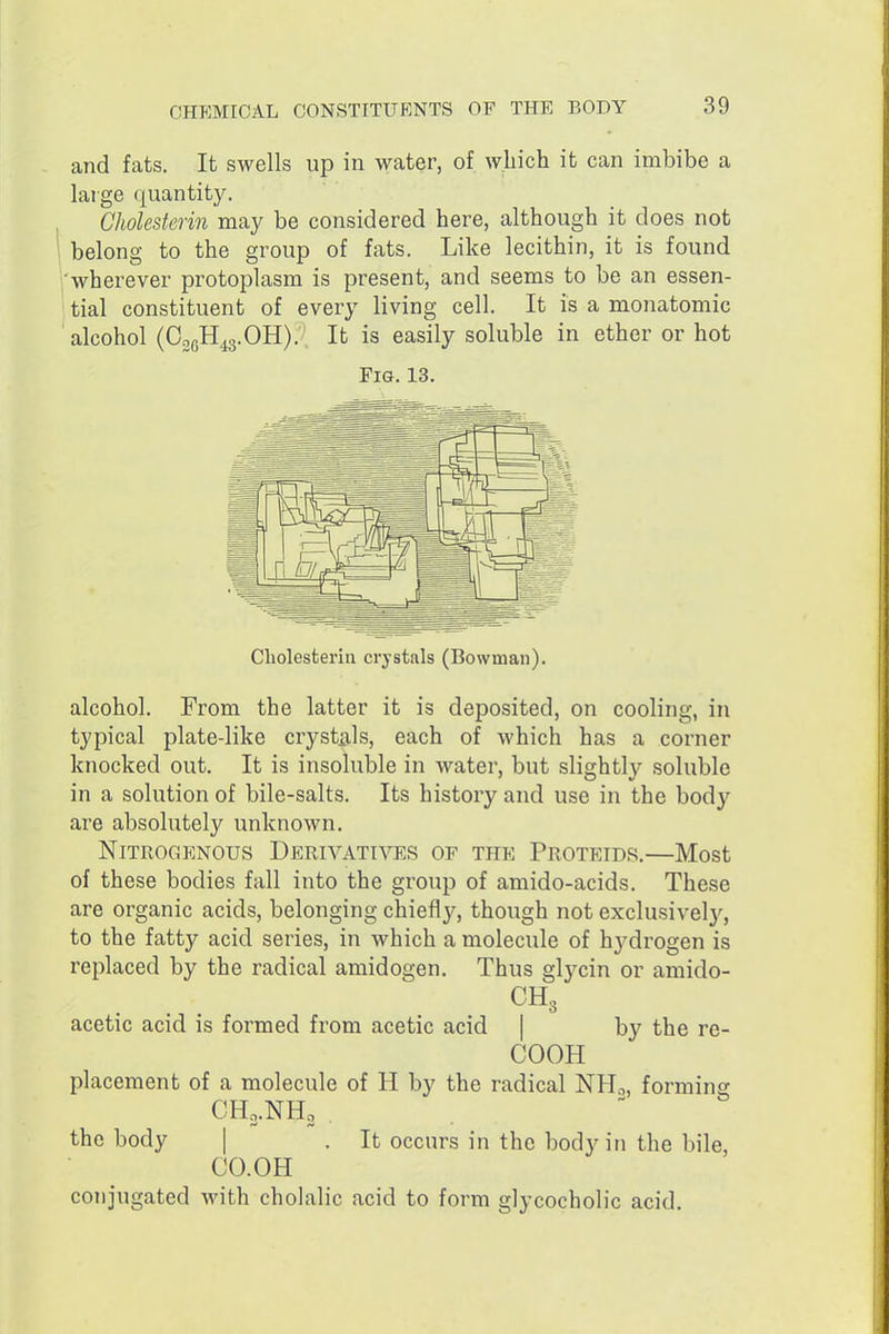and fats. It swells up in water, of wliich it can imbibe a large quantity. Cholesterin may be considered here, although it does not 1 belong to the group of fats. Like lecithin, it is found i'wherever protoplasm is present, and seems to be an essen- tial constituent of every living cell. It is a monatomic alcohol (C20H43.OH). It is easily soluble in ether or hot Fig. 13. Cholesterin crystals (Bowman). alcohol. From the latter it is deposited, on cooling, in typical plate-like crystals, each of which has a corner knocked out. It is insoluble in water, but slightly soluble in a solution of bile-salts. Its history and use in the body are absolutely unknown. Nitrogenous Derivatives of the Proteids.—Most of these bodies fall into the group of amido-acids. These are organic acids, belonging chiefly, though not exclusivel)'^, to the fatty acid series, in which a molecule of hydrogen is replaced by the radical amidogen. Thus glycin or amido- acetic acid is formed from acetic acid | by the re- COOH placement of a molecule of H by the radical NHo, forming CH0.NH2 the body | . It occurs in the body in the bile, CO.OH conjugated with cholalic acid to form glycocholic acid.