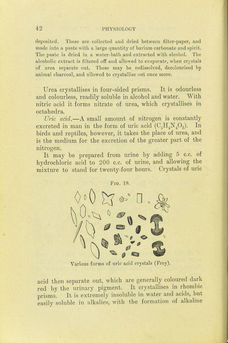 deposited. Tliese are collected iind dried between filter-paper, and miide into a paste with a large quaiititj- of barium carbonate and spirit. The paste is dried in a water-bath and extracted with alcohol. The alcoholic extract is filtered off and allowed to evaporate, when crystals of urea separate out. These may be redissolved, decolourised by animal charcoal, and allowed to crystallise out once more. Urea crystallises in four-sided prisms. It is odourless and colourless, readily soluble in alcohol and water. With nitric acid it forms nitrate of urea, which crystallises in octahedra. Uric add.—A small amount of nitrogen is constantly excreted in man in the form of uric acid (CgH^NjOg). In birds and reptiles, however, it takes the place of urea, and is the medium for the excretion of the greater part of the nitrogen. It may be prepared from urine by adding 5 c.c. of hydrochloric acid to 200 c.c. of urine, and allowing the mixture to stand for twenty-four hours. Crystals of uric Fia. 18. ^0 o Various forms of uric acid crystals (Frey). acid then separate out, which are generally coloured dark red by the urinaiy pigment. It crystallises in rhombic prisms. It is extremely insoluble in water and acids, but easily soluble in alkalies, with the formation of alkaline