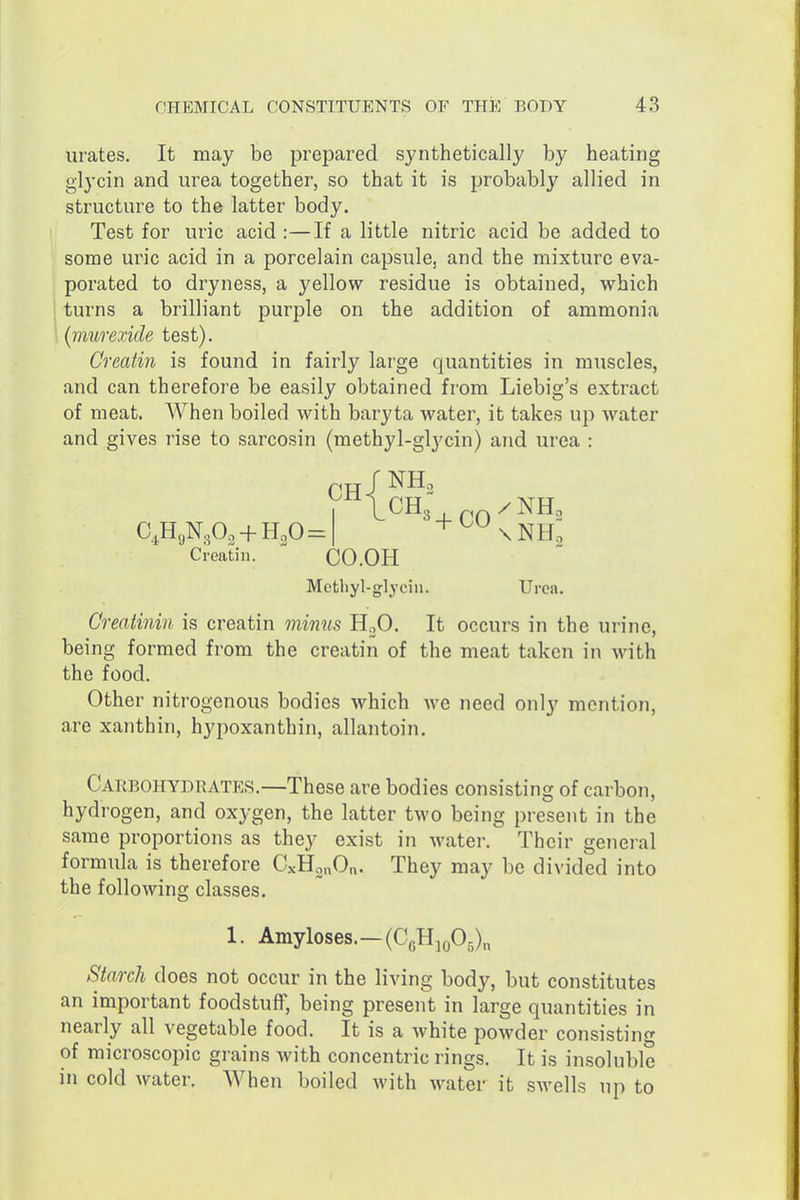 urates. It may be prepared synthetically by heating glycin and urea together, so that it is probably allied in structure to the latter body. Test for uric acid :—If a little nitric acid be added to some uric acid in a porcelain capsule, and the mixture eva- porated to dryness, a yellow residue is obtained, which turns a brilliant purple on the addition of ammonia (murexide test). Creatin is found in fairly large quantities in muscles, and can therefore be easily obtained from Liebig's extract of meat. When boiled with baryta water, it takes up water and gives rise to sarcosin (methyl-glycin) and urea : CH C,HyN..03 + H30 = -fCO CHg , ^^/NH, \ NHo Creatin. CO.OH Mefcbyl-glycin. Urea. Creatinin is creatin oniniis HoO. It occurs in the urine, being formed from the creatin of the meat taken in with the food. Other nitrogenous bodies which we need only mention, are xanthin, hypoxanthin, allantoin. Carbohydrates.—These are bodies consisting of carbon, hydrogen, and oxygen, the latter two being present in the same proportions as they exist in water. Their general formula is therefore CxHonOn. They may be divided into the following classes. 1. Amyloses.—(CeHioOg)^ Starch does not occur in the living body, but constitutes an important foodstulT, being present in large quantities in nearly all vegetable food. It is a white powder consisting of microscopic grains with concentric rings. It is in.soluble in cold water. When boiled with water it SAvells up to