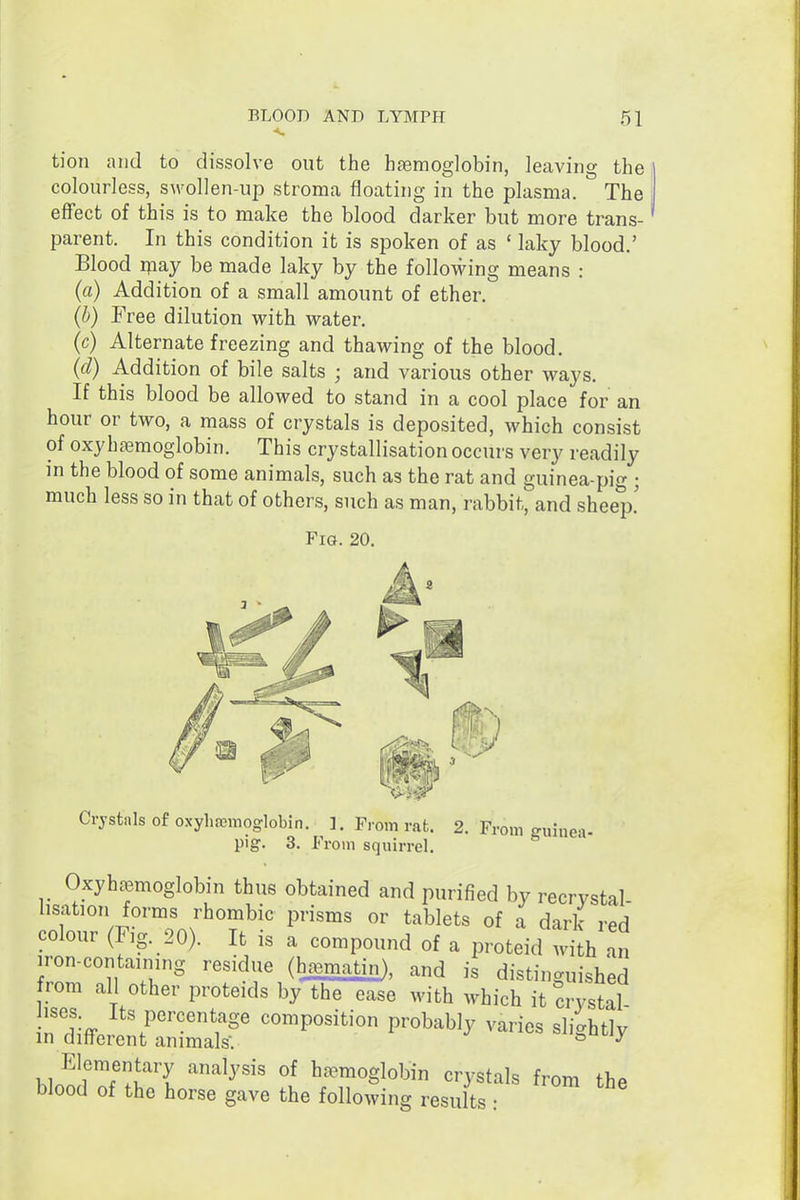 tion and to dissolve out the hfemoglobin, leaving the colourless, swollen-up stroma floating in the plasma. The effect of this is to make the blood darker but more trans- parent. In this condition it is spoken of as ' laky blood.' Blood ^my be made laky by the following means : (a) Addition of a small amount of ether. (h) Free dilution with water. (c) Alternate freezing and thawing of the blood. (d) Addition of bile salts ; and various other ways. If this blood be allowed to stand in a cool place for an hour or two, a mass of crystals is deposited, which consist of oxyhcnemoglobin. This crystallisation occurs very readily in the blood of some animals, such as the rat and guinea-pig ; much less so in that of others, such as man, rabbit, and sheep.' Fig. 20. Crjstnls of oxyhfcmoglobin. 1. From rat. 2. From guinea- pig. 3. From squirrel. OxyhjBmoglobin thus obtained and purified by recrvstal- lisation forms rhombic prisms or tablets of a dark red colour (Fig. 20). It is a compound of a proteid with an iron-containing residue (h.^matin), and is distinguished from all other proteids by the ease with which it crystal irdifferlt/S^ P'^'^^ ^'^^^ ^'^^^'^y Elementary analysis of haemoglobin crystals from the blood of the horse gave the following results: