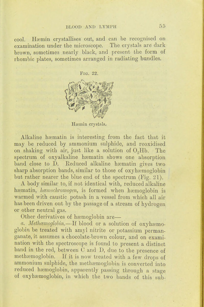 cool. Hasmin crystallises out, and can be recognised on examination under the microscope. The crystals are dark brown, sometimes nearly black, and present the form of rhombic plates, sometimes arranged in radiating bundles. ^ mum Htemin crystals. Alkaline hrematin is interesting from the fact that it may be reduced by ammonium sulphide, and reoxidised on shaking with air, just like a solution of OoHb. The spectrum of oxyalkaline hsematin shows one absorption band close to D. Reduced alkaline htematin gives two sharp absorption bands, similar to those of oxyhemoglobin but rather nearer the blue end of the spectrum (Fig. 21). A body similar to, if not identical with, reduced alkaline hgematin, hcemuchromogen, is formed when hajmoglobin is warmed Avith caustic potash in a vessel from Avhich all air has been driven out by the passage of a stream of hydrogen or other neutral gas. Other derivatives of hsemoglobin are— a. Methcemoglohin.—If blood or a solution of oxyhasmo- globin be treated with amyl nitrite or potassium perman- ganate, it assumes a chocolate-brown colour, and on exami- nation with the spectroscope is found to present a distinct band in the red, between C and D, due to the presence of mcthremoglobin. If it is now treated with a few drops of ammonium sulphide, the methajmoglobin is converted into reduced haemoglobin, appaiently passing through a stage of oxyhajmoglobin, in which the two bands of this sub-