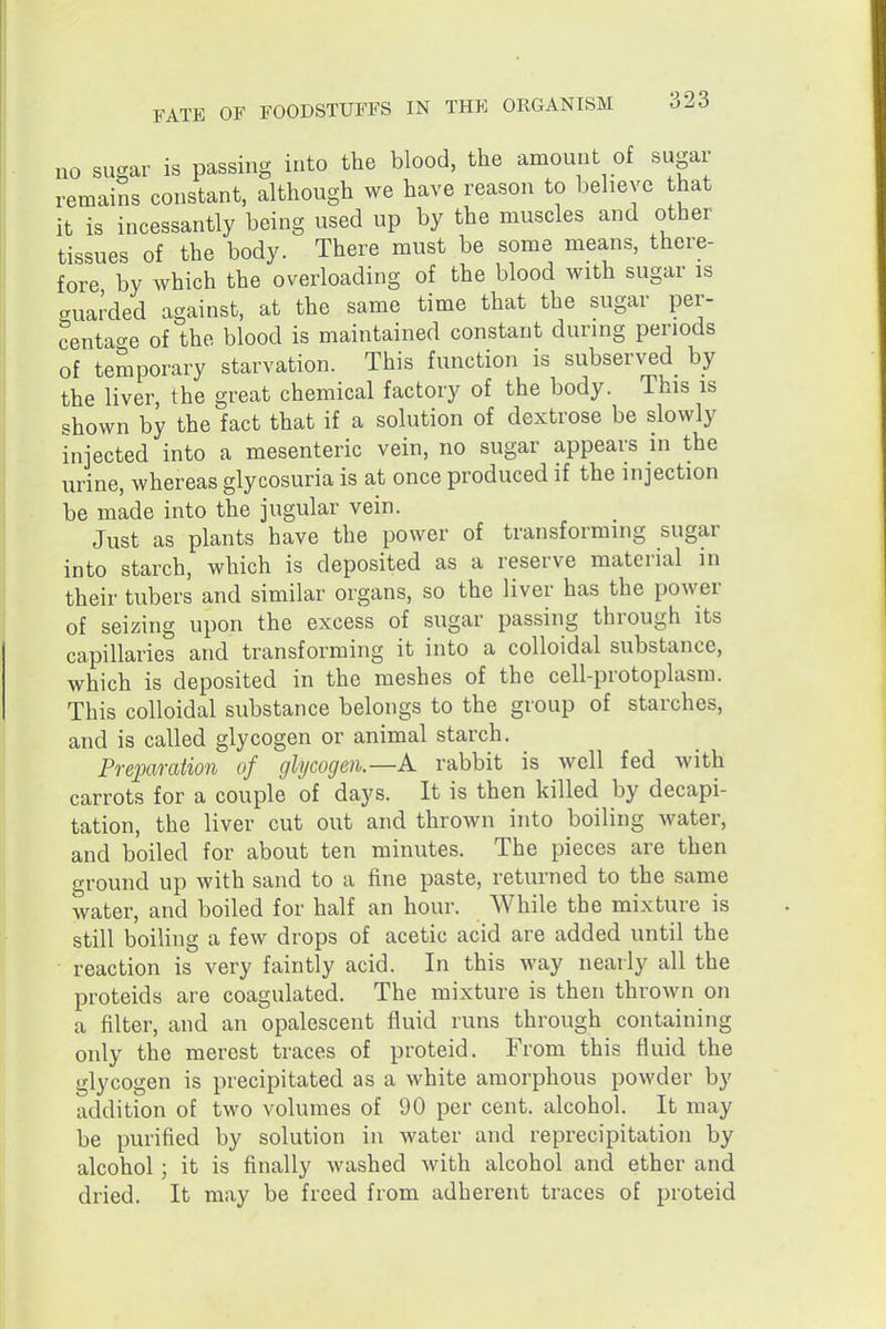 no sugar is passing into the blood, the amount of sugar remains constant, although we have reason to believe hat it is incessantly being used up by the muscles and other tissues of the body. There must be some means, there- fore by which the overloading of the blood with sugar is suai'ded against, at the same time that the sugar per- centao-e of the blood is maintained constant during periods of temporary starvation. This function is subserved^ by the liver, the great chemical factory of the body. This is shown by the fact that if a solution of dextrose be slowly injected into a mesenteric vein, no sugar appears in the urine, whereas glycosuria is at once produced if the injection be made into the jugular vein. Just as plants have the power of transforming sugar into starch, which is deposited as a reserve material in their tubers and similar organs, so the liver has the power of seizing upon the excess of sugar passing through its capillaries and transforming it into a colloidal substance, which is deposited in the meshes of the cell-protoplasm. This colloidal substance belongs to the group of starches, and is called glycogen or animal starch. Preparation of glycogen.—A rabbit is well fed with carrots for a couple of days. It is then killed by decapi- tation, the liver cut out and thrown into boiling water, and boiled for about ten minutes. The pieces are then o-round up with sand to a fine paste, returned to the same water, and boiled for half an hour. While the mixture is still boiling a few drops of acetic acid are added until the reaction is very faintly acid. In this way nearly all the proteids are coagulated. The mixture is then thrown on a filter, and an opalescent fluid runs through containing only the merest traces of proteid. From this fluid the glycogen is precipitated as a white amorphous powder by addition of two volumes of 90 per cent, alcohol. It may be purified by solution in water and reprecipitation by alcohol; it is finally washed with alcohol and ether and dried. It may be freed from adherent traces of proteid