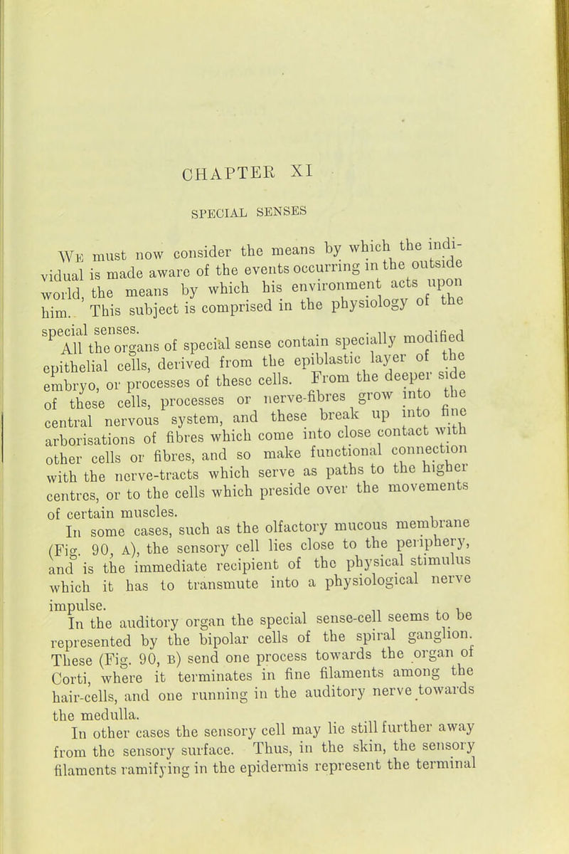 CHAPTER XI SPECIAL SENSES We must now consider the means by ^^l^^^/^^^^^^f,^- vidual is made aware of the events occurring in ^he outside world, the means by which his environmen acts upon him.- This subject is comprised in the physiology of the '^Alf the organs of specilil sense contain specially modified epithelial cells, derived from the epiblastic layer of the embryo, or processes of these cells. From the deeper s de of these cells, processes or nerve-fibres grow into the central nervous system, and these break up into fine arborisations of fibres which come into close contact with other cells or fibres, and so make functional connection with the nerve-tracts which serve as paths to the higher centres, or to the cells which preside over the movements of certain muscles. In some cases, such as the olfactory mucous membrane 90 a), the sensory cell lies close to the periphery, and''is the immediate recipient of the physical stimulus which it has 10 transmute into a physiological nerve impulse. , In the auditory organ the special sense-cell seems to be represented by the bipolar cells of the spiral ganglion These (Fig. 90, b) send one process towards the organ of Corti, where it terminates in fine filaments among the hair-cells, and one running in the auditory nerve towards the medulla. In other cases the sensory cell may lie still further away from the sensory surface. Thus, in the skin, the sensory filaments ramifying in the epidermis represent the terminal