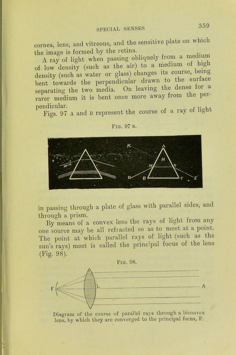 cornea, lens, and vitreous, and the sensitive plate on which the image is formed by the retina. A ray of light when passing obliquely from a medium of low density (such as the air) to a medium of high density (such as water or glass) changes its course, being bent towards the perpendicular drawn to the surtace separating the two media. On leaving the dense for a rarer medium it is bent once more away from the pei- ^^Figs!^97 A and B represent the course of a ray of light Fig. 97 b. in passing through a plate of glass with parallel sides, and through a prism. By means of a convex lens the rays of light from any one source may be all refracted so as to meet at a point. The point at which parallel rays of light (such as the sun's rays) meet is called the principal focus of the lens (Fig. 98). Fi&. 98. F L m Diagram of the course of parallel rays through a biconvex leus, by which they are converged to the principal focus, F.