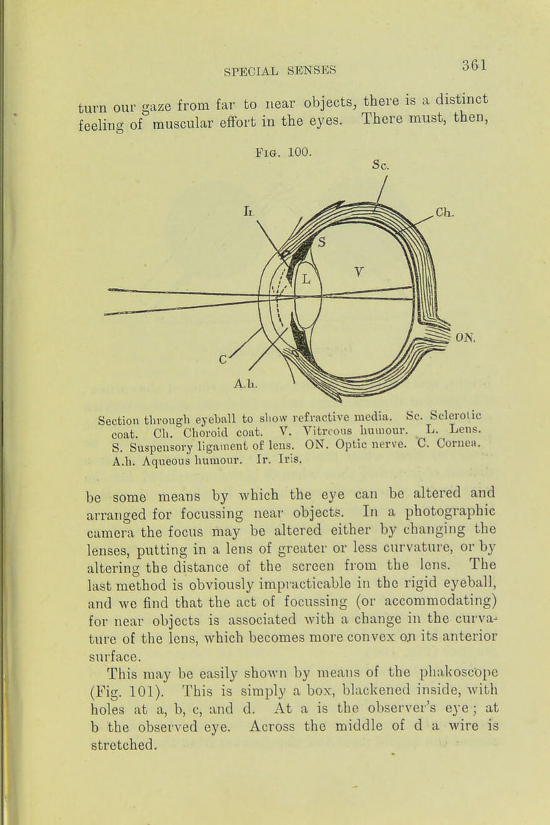 turn our gaze from far to near objects, there is a distinct feeling of muscular effort in the eyes. There must, then, Fig. 100. Sc. Section through eyeball to show refractive media. Sc. Sclerotic coat. Ch, Choroid coat. V. Vitreous humour. L. Lens. S. Suspensory ligament of lens. ON. Optic nerve. C. Cornea. A.h. Aqueous humour. Ir. Iris. be some means by which the eye can be altered and arranged for focussing near objects. In a photographic camera the focus may be altered either by changing the lenses, putting in a lens of greater or less curvature, or by altering the distance of the screen from the lens. The last method is obviously impracticable in the rigid eyeball, and we find that the act of focussing (or accommodating) for near objects is associated Avith a change in the curva- ture of the lens, which becomes more convex oji its anterior surface. This may be easily shown by means of the phakoscope (Fig. 101). This is simply a box, blackened inside, with holes at a, b, c, and d. At a is the observer's eye; at b the observed eye. Across the middle of d a wire is stretched.