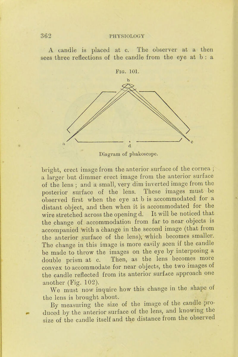 A candle is placed at c. The observer at a then sees three reflections of the candle from the eye at b : a Fig. 101. b Diagram of pliakoscope. brisrht, erect imasic from the anterior surface of the cornea ; a larger but dimmer erect image from the anterior surface of the lens ; and a small, very dim inverted image from the posterior surface of the lens. These images must be observed first when the eye at b is accommodated for a distant object, and then when it is accommodated for the wire stretched across the opening d. It will be noticed that the change of accommodation from far to near objects is accompanied with a change in the second image (that from the anterior surface of the lens), which becomes smaller. The change in this image is more easily seen if the candle be made to throw the images on the eye by interposing a double prism at c. Then, as the lens becomes more convex to accommodate for near objects, the two images of the candle reflected from its anterior surface approach one another (Fig. 102). We must now inquire how this change in the shape of the lens is brought about. By measuring the size of the image of the candle pro- duced by the anterior surface of the lens, and knowing the size of the candle itself and the distance from the observed
