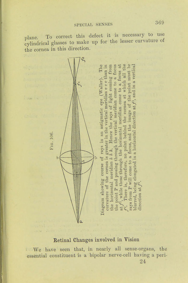 plane To correct this defect it is necessary to cylindrical glasses to make up for the lesser curvatu the cornea in this direction. Retinal Changes involved iii Vision We have seen that, in nearly all sense-organs, the essential constituent is a bipolar nerve-cell having a peri- 24