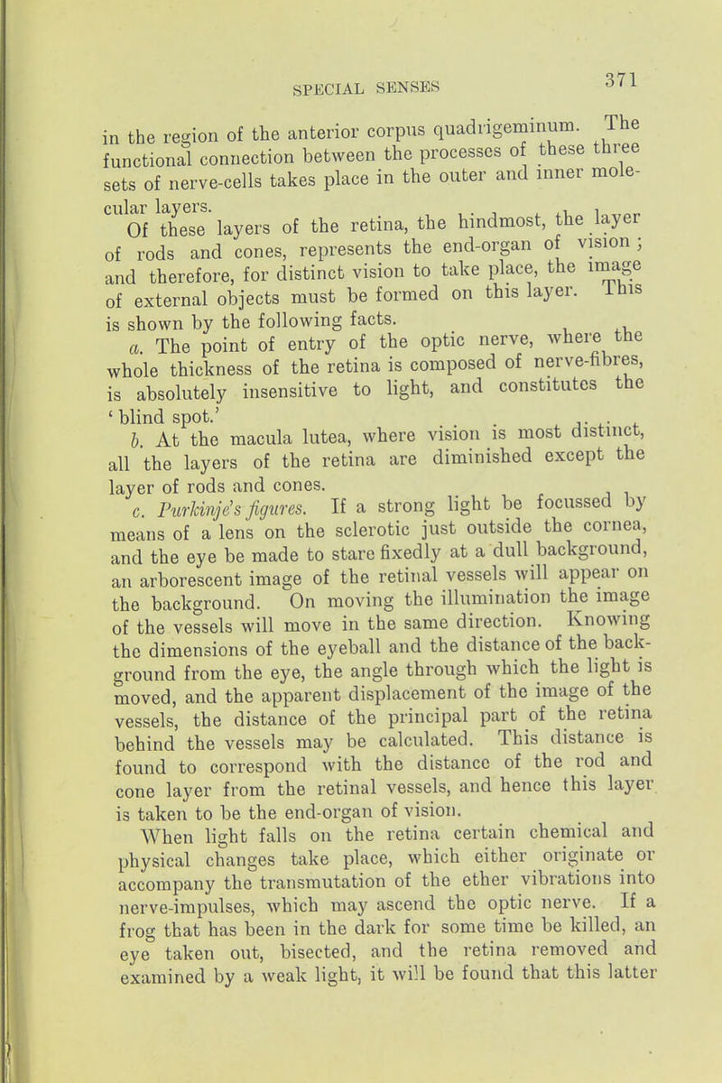 in the region of the anterior corpus quadrigeminum. The functional connection between the processes o these three sets of nerve-cells takes place in the outer and inner mole- cular layers. Of these layers of the retina, the hindmost, the layer of rods and cones, represents the end-organ of vision ; and therefore, for distinct vision to take place, the image of external objects must be formed on this layer, ihis is shown by the following facts. a The point of entry of the optic nerve, where the whole thickness of the retina is composed of nerve-hbres, is absolutely insensitive to light, and constitutes the ' blind spot.' h. At the macula lutea, where vision is most distinct, all the layers of the retina are diminished except the layer of rods and cones. c. Purkinje's figures. If a strong light be focussed by means of a lens on the sclerotic just outside the cornea, and the eye be made to stare fixedly at a dull background, an arborescent image of the retinal vessels will appear on the background. On moving the illumination the image of the vessels will move in the same direction. Knowing the dimensions of the eyeball and the distance of the back- ground from the eye, the angle through which the light is moved, and the apparent displacement of the image of the vessels, the distance of the principal part of the retina behind the vessels may be calculated. This distance is found to correspond with the distance of the rod and cone layer from the retinal vessels, and hence this layer is taken to be the end-organ of vision. When light falls on the retina certain chemical and physical changes take place, which either originate or accompany the transmutation of the ether vibrations into nerve-impulses, which may ascend the optic nerve. If a frog that has been in the dark for some time be killed, an eye taken out, bisected, and the retina removed and examined by a weak light, it wiH be found that this latter