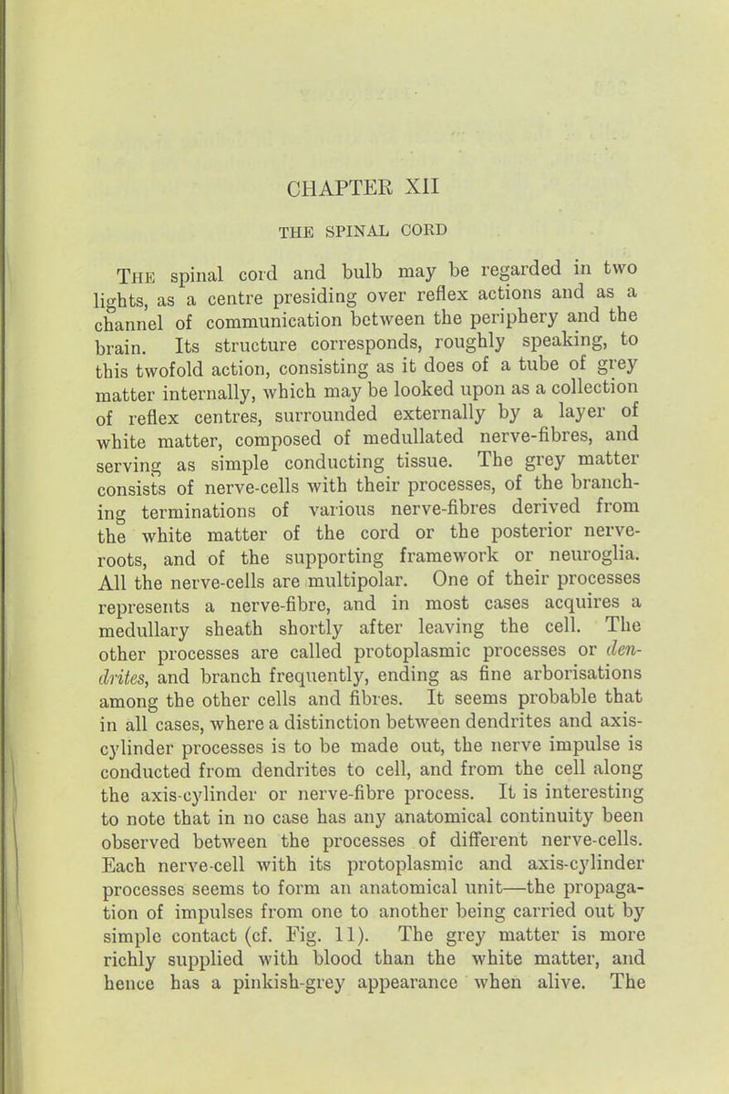 CHAPTER XII THE SPINAL CORD The spinal cord and bulb may be regarded in two lights, as a centre presiding over reflex actions and as a channel of communication between the periphery and the brain. Its structure corresponds, roughly speaking, to this twofold action, consisting as it does of a tube of grey matter internally, which may be looked upon as a collection of reflex centres, surrounded externally by a layer of white matter, composed of medullated nerve-fibres, and serving as simple conducting tissue. The grey matter consists of nerve-cells with their processes, of the branch- ing terminations of various nerve-fibres derived from the white matter of the cord or the posterior nerve- roots, and of the supporting framework or neuroglia. All the nerve-cells are multipolar. One of their processes represents a nerve-fibre, and in most cases acquires a medullary sheath shortly after leaving the cell. The other processes are called protoplasmic processes or den- drites, and branch frequently, ending as fine arborisations among the other cells and fibres. It seems probable that in all cases, where a distinction between dendrites and axis- cylinder processes is to be made out, the nerve impulse is conducted from dendrites to cell, and from the cell along the axis-cylinder or nerve-fibre process. It is interesting to note that in no case has any anatomical continuity been observed between the processes of diff'erent nerve-cells. Each nerve-cell with its protoplasmic and axis-cylinder processes seems to form an anatomical unit—the propaga- tion of impulses from one to another being carried out by simple contact (cf. Fig. 11). The grey matter is more richly supplied with blood than the white matter, and hence has a pinkish-grey appearance when alive. The