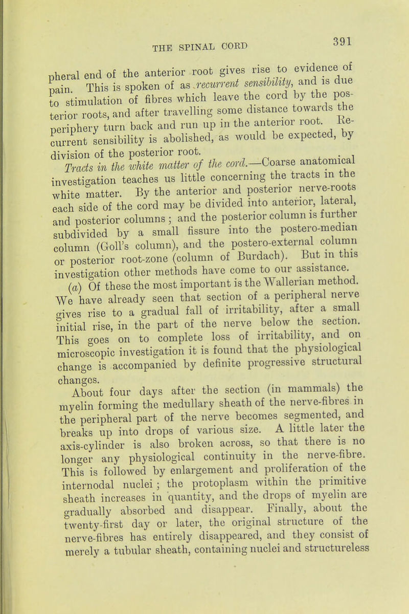 nheral end of the anterior root gives rise to evidence of min This is spoken of as remmt sensibility, and is due to stimulation of fibres which leave the cord by the pos- terior roots, and after travelling some distance towards the periphery turn back and run up in the anterior root Ke- Lrrent sensibility is abolished, as would be expected, by division of the posterior root. . • i Tracts in the tohite matter of the corcl-Co^vse anatomical investigation teaches us little concerning the tracts in the white matter. By the anterior and posterior nerve-roots each side of the cord may be divided into anterior, lateral, and posterior columns; and the posterior column is further subdivided by a small fissure into the postero-median column (Goll's column), and the postero-extenial column or posterior root-zone (column of Burdach). But in this investigation other methods have come to our assistance. (a) Of these the most important is the Wallerian method. We have already seen that section of a peripheral nerve ^ives rise to a gradual fall of irritability, after a small fnitial rise, in the part of the nerve below the section. This <^oes on to complete loss of irritability, and on microscopic investigation it is found that the physiological change is accompanied by definite progressive structural changes. , i \ -u About four days after the section (in mammals) the myelin forming the medullary sheath of the nerve-fibres in the peripheral part of the nerve becomes segmented, and breaks up into drops of various size. A little later the axis-cylinder is also broken across, so that there is no longer any physiological continuity in the nerve-fibre. This is followed by enlargement and proliferation of the internodal nuclei ; the protoplasm within the primitive sheath increases in quantity, and the drops of myelin are gradually absorbed and disappear. Finally, about the twenty-first day or later, the original structure of the nerve-fibres has entirely disappeared, and they consist of merely a tubular sheath, containing nuclei and structureless