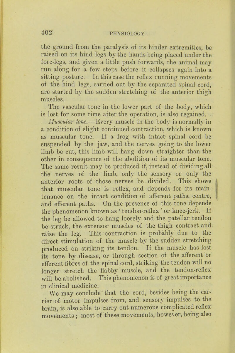 the ground from the paralysis of its hinder extremities, be raised on its hind legs by the hands being placed under the fore-legs, and given a little push forwards, the animal may run along for a few steps before it collapses again into a sitting posture. In this case the reflex running movements of the hind legs, carried out by the separated spinal cord, are started by the sudden stretching of the anterior thigh muscles. The vascular tone in the lower part of the body, which is lost for some time after the operation, is also regained. Muscular tone.—Every muscle in the body is normally in a condition of slight continued contraction, which is known as muscular tone. If a frog with intact spinal cord be suspended by the jaw, and the nerves going to the lower limb be cut, this limb will hang down straighter than the other in consequence of the abolition of its muscular tone. The same result may be produced if, instead of dividing all the nerves of the limb, only the sensory or only the anterior roots of those nerves be divided. This shows that muscular tone is reflex, and depends for its main- tenance on the intact condition of afferent paths, centre, and efferent paths. On the presence of this tone depends the phenomenon known as ' tendon-reflex' or knee-jerk. If the leg be allowed to hang loosely and the patellar tendon be struck, the extensor muscles of the thigh contract and raise the leg. This contraction is probably due to the direct stimulation of the muscle by the sudden stretching produced on striking its tendon. If the muscle has lost its tone by disease, or through section of the afferent or efferent fibres of the spinal cord, striking the tendon will no longer stretch the flabby muscle, and the tendon-reflex will be abolished. This phenomenon is of great importance in clinical medicine. We may conclude 'that the cord, besides being the car- rier of motor impulses from, and sensory impulses to the brain, is also able to carry out numerous complicated reflex movements; most of these movements, however, being also