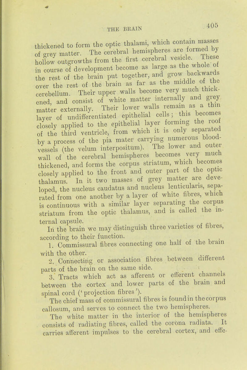 1B.1S, BRAIN thickened to form the optic thalami, which contain masses of grey matter. The cerebral hemispheres are formed by hollow outgrowths from the first cerebral vesicle. These in course o1 development become as large as the whole o he rest of the brain put together, and grow backwa d over the rest of the brain as far as the middle of the cerebellum. Their upper walls become very much thick- ened, and consist of white matter internally and giey matter externally. Their lower walls remain as a thin Ler of undifferentiated epithelial cells; this become closely applied to the epithelial layer forming the roof of the third ventricle, from which it is only sepaiated by a process of the pia mater carrying numerous blood- vessels (the velum interpositum). The lower and outer wall of the cerebral hemispheres becomes very much thickened, and forms the corpus striatum, which becomes closely applied to the front and outer part of the optic thalamus. In it two masses of grey matter are deve- loped, the nucleus caudatus and nucleus lenticularis, sepa- rated from one another by a layer of white fibres, which is continuous with a similar layer separating the corpus striatum from the optic thalamus, and is called the in- ternal capsule. . . In the brain we may distinguish three varieties ot fibres, according to their function. r . i, • 1. Commissural fibres connecting one half of the brain with the other. . 2. Connecting or association fibres between ditterent parts of the brain on the same side. 3. Tracts which act as afferent or efterent channels between the cortex and lower parts of the brain and spinal cord (' projection fibres'). The chief mass of commissural fibres is found in the corpus callosum, and serves to connect the two hemispheres. The white matter in the interior of the hemispheres consists of radiating fibres, called the corona radiata. It carries afferent impulses to the cerebral cortex, and etfe-