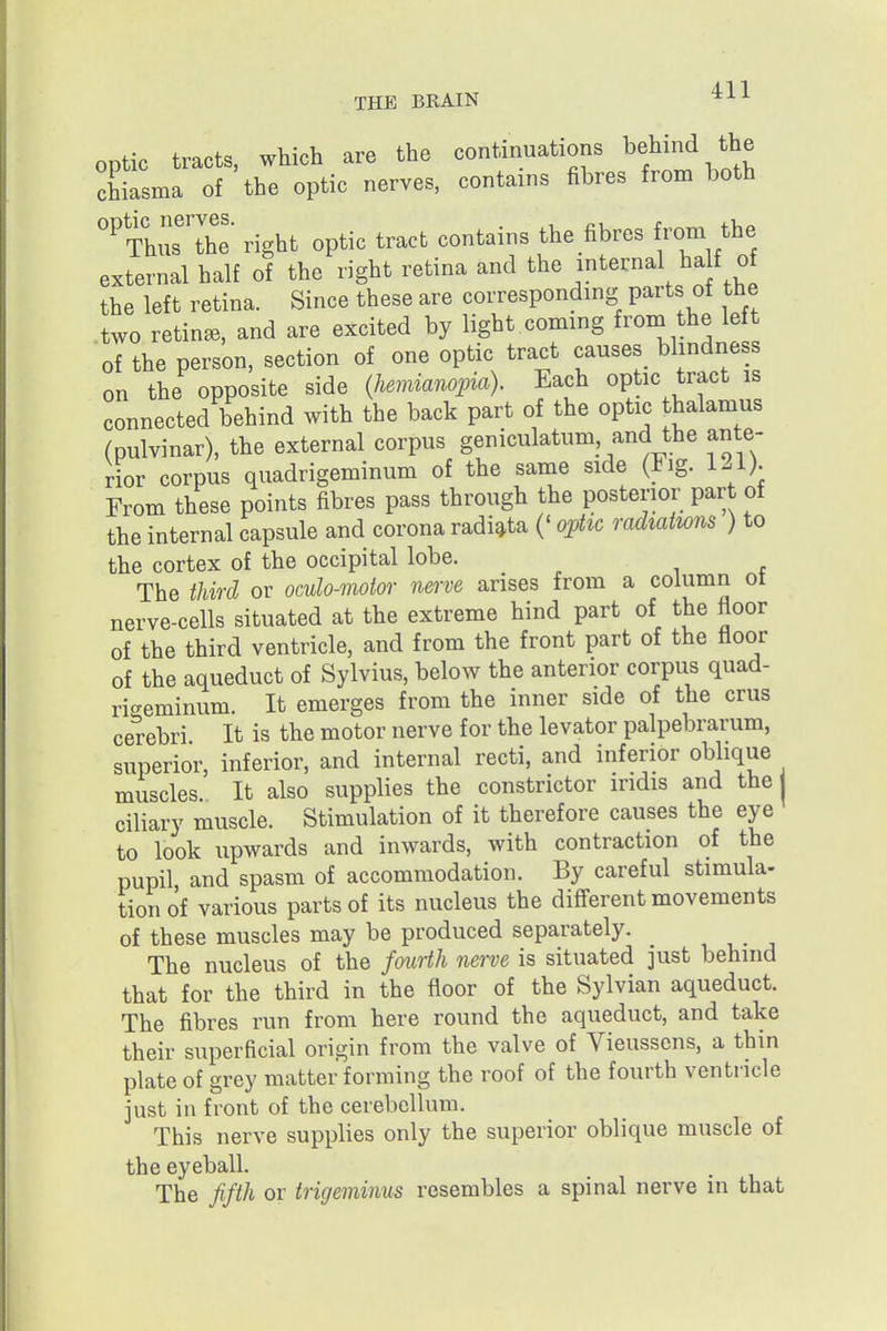 optic tracts, which are the continuations l^find the chiasma of the optic nerves, contains fibres from both ^^ Thus'the right optic tract contains the fibres from ^he external half of the right retina and the internal ha f of the left retina. Since these are corresponding parts of the two retina, and are excited by light coming from the le t of the person, section of one optic tract causes blindness on the opposite side {hemianoina). Each optic tract is connected behind with the back part of the optic thalamus (pulvinar), the external corpus geniculatum and the ante- rior corpus quadrigeminum of the same side (J^ig. lii). From these points fibres pass through the posterior part of the internal capsule and corona radi^ta (' ophc radiaiwns ) to the cortex of the occipital lobe. The third or omlo-motor nerve arises from a column oi nerve-cells situated at the extreme hind part of the floor of the third ventricle, and from the front part of the floor of the aqueduct of Sylvius, below the anterior corpus quad- rigeminum. It emerges from the inner side of the crus cerebri It is the motor nerve for the levator palpebrarum, superior, inferior, and internal recti, and inferior oblique muscles. It also supplies the constrictor iridis and the ciliary muscle. Stimulation of it therefore causes the eye to look upwards and inwards, with contraction of the pupil and spasm of accommodation. By careful stimula- tion of various parts of its nucleus the different movements of these muscles may be produced separately. . , . , The nucleus of the fmrtli nerve is situated just behind that for the third in the floor of the Sylvian aqueduct. The fibres run from here round the aqueduct, and take their superficial origin from the valve of Vieusscns, a thin plate of grey matter forming the roof of the fourth ventricle just in front of the cerebellum. This nerve supplies only the superior oblique muscle of the eyeball. The fifth or trigeminus resembles a spinal nerve in that