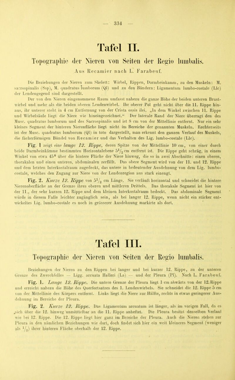 Tafel IL Topographie der Nieren von Seiten der Regio liunbalis. Ans Kecaraier nach L. Farabeuf. Die Beziehungen (ier Nieren /,uni Slcelett: Wirbel, llip|ien, Davnibeinlvamni, /ai den Muskeln: M. sacrospinalis (Ssp), M. quadratus luinboruni (Ql) und zu den Bändern: Ligamentuni lumbo-costale (Llc) der Lendengegend sind dargestellt. Der von den Nieren eingenoimnene Kaum nmfasst nahezu die ganze Höhe der beiden unteren Brust- wirbel und mehr als die beiden oberen Lendenwirbel. Ihr oberer Pol geht nicht über die 11. Rippe hin- aus, ihr unterer steht in 4 cm Entfernung von der Crista ossis ilei. „In dem Winkel zwischen 11. Rippe und Wirbelsäule liegt die Niere wie hineingezeichnet. Der laterale Rand der Niere überragt den des Muse, quadratus lumborum und des Sacrospinalis und ist 8 cm von der Mittellinie entfernt. Nur ein sehr kleines Segment der hinteren Nierenfläche liegt nicht im Bereiche der genannten Muskeln. Rechterseits ist der Muse, quadratus lumborum (Ql) in toto dargestellt, man erkennt den ganzen Verlauf des Muskels, die fächerförmigen Bündel von Recamier und das Verhalten des Lig. lumbo-costale (Llc). Fig. 1 zeigt eine lange 12. Ri2)2)e, deren Spitze von der Mittellinie 10 cm, von einer durch beide Darmbeinkämme bestimmten Horizontalebene 5^/2^^^ entfernt ist. Die Rippe geht schräg, in einem Winkel von etwa 45 über die hintere Fläche der Niere hinweg, die so in zwei Abschnitte: einen oberen, thorakalen und einen unteren, abdominalen zerfällt. Das obere Segment wird von der 11. und 12. Rippe und dem letzten Interkostalraum zugedeckt, das untere in bedeutender Ausdehnung von dem Lig. lumbo- costale, welches den Zugang zur Niere von der Lendenregion ans stark einengt. Fig. 2. Kurze 12. Rippe von 5^/2 cm Länge. Sie verläuft horizontal und schneidet die hintere Nierenoberiläche an der Grenze ihres oberen und mittleren Drittels. Das thorakale Segment ist hier von der 11., der sehr kurzen 12. Rippe und dem kleinen Interkostalraum bedeckt. Das abdominale Segment würde in diesem Falle leichter zugänglich sein, als bei langer 12. Rippe, wenn nicht ein stärker ent- wickeltes Lig. lumbo-costale es noch in grösserer Ausdehnung markirte als dort. Tafel III. Topographie der Nieren von Seiten der Regio lunibalLs. Beziehungen der Nieron zu den Rippen bei langer und bei kurzer 12. Rippe, zu der unleren Grenze des Zwerchfelles — Ligg. arcuata Ilalleri (La) — und der Pleura (PI). Nach L. Farabeuf. Fig. 1. Lange 12. Hippe. Die unteie Grenze der Pleura liegt 1 cm abwärts von der 12. Ilipiie und erreichl nahezu die Höhe des Querfortsatzes des 1. Lendenwirbels. Sic schneidet die 12. Kippe 5 cm von der Mittellinie des Körpers entfernt. Links liegt die Niere zur Hälfte, rechts in etwas geringerer Aus- ilcliiiung im Bereiche der Pleura. Fig. 2. Kurze 12. Hippe. Das Ligamentum arcuatum isl länger, als im vorigen Fall, da es >ii'li über die 12. hinweg unmitltolbar an die 11. Rippe aniieftet. Die Pleura besitzt denselben Verlaul wie bei 12. Rippe. Die 12. Rippe liegt hier ganz im Bereiche der Pleura. Auch die Nieren stehen zur Pleura in den nämlichen Beziehungen wie dort, doch findet sich hier ein weit kleineres Segment (weniger ivls Y3) ihrer hinteren l'läche oberhalb der 12. Rippe.