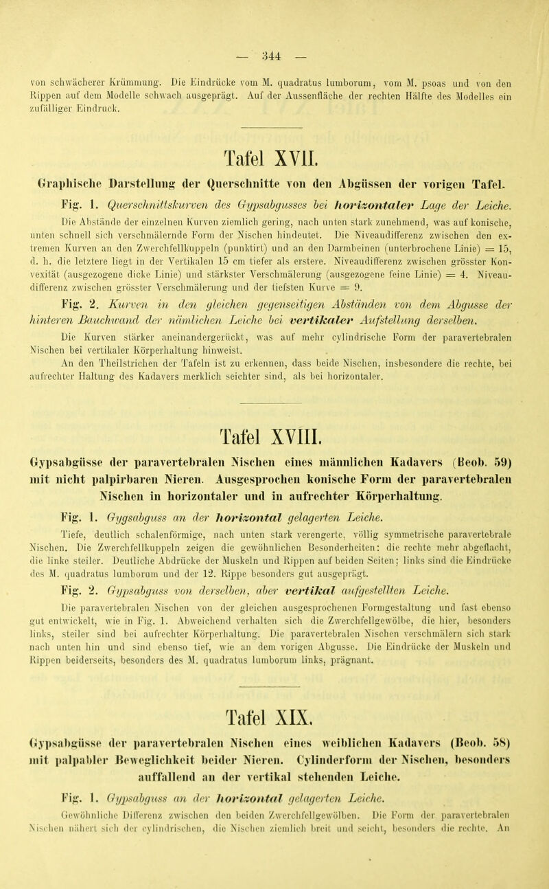 von schwächerer Krümmung. Die Eindrücke vom M. quadralus lumboram, vom M. psoas und von den Rippen auf dem Modelle schwach ausgeprägt. Auf der Aussenfläche der rechten Hälfte des Modclles ein zufälliger Eindruck. Tafel XVII. Graphische Darstelhiiig der Querschnitte von den Abgüssen der vorigen Tafel. Fig. 1. Q,uerschnittskurven des Chjpsabgusses hei horizontaler Lage der Leiche. Die Abstände der einzelnen Kurven ziemlich gering, nach unten stark zunehmend, was auf konische, unten schnell sich verschmälernde Form der Nischen hindeutet. Die Niveaudifferenz zwischen den ex- tremen Kurven an den Zwerchfellkuppeln (punktirt) und an den Darmbeinen (unterbrochene Linie) — 15, d. h. die letztere liegt in der Vertikalen 15 cm tiefer als erstei'e. Niveaudift'erenz zwischen grösster Kon- vexität (ausgezogene dicke Linie) und stärkster Verschmälerung (ausgezogene feine Linie) - 4. Niveau- diiferenz zwisclien grösster Verschmälerung und der tiefsten Kurve — 9. Fig. 2. Kurven in den gleichen gegenseitigen Abständen von dem Abgüsse der hinteren Bauchwand der nämliche)t Leiche bei vertikaler AufsteUicng derselben. Diu Kurven stärker aneinandergerückt, was auf nielir cylindrische Form der paravertebralen Nischen bei vertikaler Körperhaltung hinweist. An den Theilstrichen der Tafeln ist zu erkennen, dass beide Nischen, insbesondere die rechte, bei aufrechter Haltung des Kadavers merklich seichter sind, als bei horizontaler. Tafel XVni. Grypsabgüsse der paravertebralen Nischen eines männlichen Kadavers (Beob. 59) mit nicht palpirbaren Nieren. Ausgesprochen konische Form der paravertebralen Nischen in horizontaler und in aufrechter Körperhaltung. Fig. 1. Gygsahguss an der horisiontal gelagerten Leiche. Tiefe, deutlich schalenförmige, nach unten stark verengerte, völlig symmetrische paravertebrale Nischen. Die Zwerchfellkuppeln zeigen die gewöhnlichen Besonderheiten: die rechte mehr abgollacht, die linke steiler. Deutliche Abdrücke der Muskeln und Rippen auf beiden Seiten; links sind die Eindrücke des M. quadratus lumbornm und der 12. Rippe besonders gut ausgeprilgt. Fig. 2. Gypsabguss von derselben, aber vertikal aufgestellten Leiche. Die paravertebralen Nischen von der gleichen ausgesprochenen Formgestaltung und fast ebenso gut entwickelt, wie in Fig. 1. Abweichend verhalteu sich die Zwerchfellgewölhe, die hier, besonders links, steiler sind bei aufrechter Körperhaltung. Die paravertebralen Nischen verschmälern sich stark nach unten hin und sind ebenso tief, wie an dem vorigen Abgüsse. Die Eindrücke der Muskeln und Rippen beiderseits, besonders des M. quadratus lumborum links, prägnant. Tafel XL\, Gypsabgüsse der paravertebralen Nisclien eines weibliclien Kadavers (Beob. 5S) mit palpabler ]{eweglichkeit beider Niei en. €ylinderforni der Nischen, besondei s auffallend an der vertikal stehenden Leiche. Fig. 1. Gypsahguss an der horizontal gelagerten Leiche. Gewöhnliclie Dilfercnz zwischen den beiden Zwerclifellgcwölben. Die Form der jtaravertebralen Xischi'ii uiiiierl sich (h/r cyiiiidrischen, ilie Nischen ziemiicii breit und >eirhl, liesumici's liie recliti'. ,\n