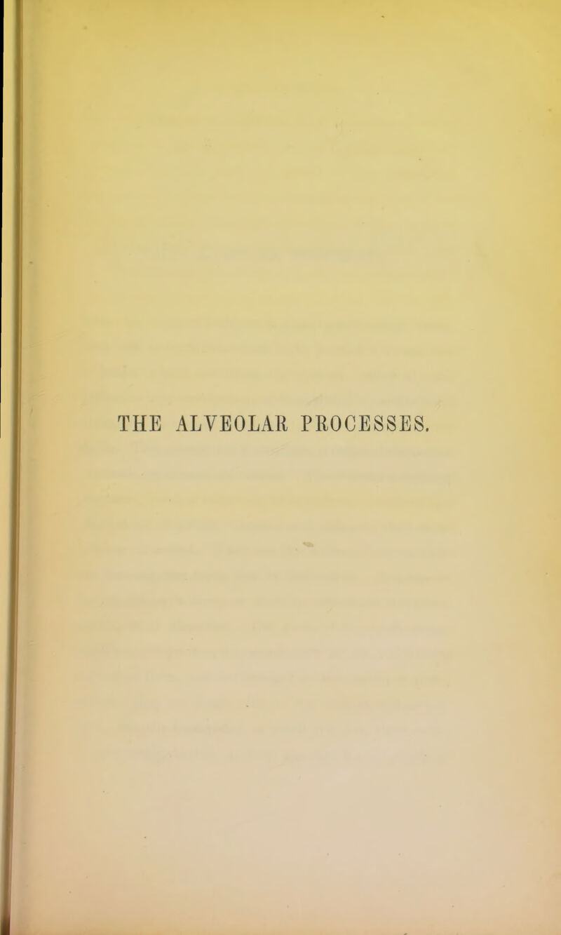 THE ALVEOLAR PROCESSES.