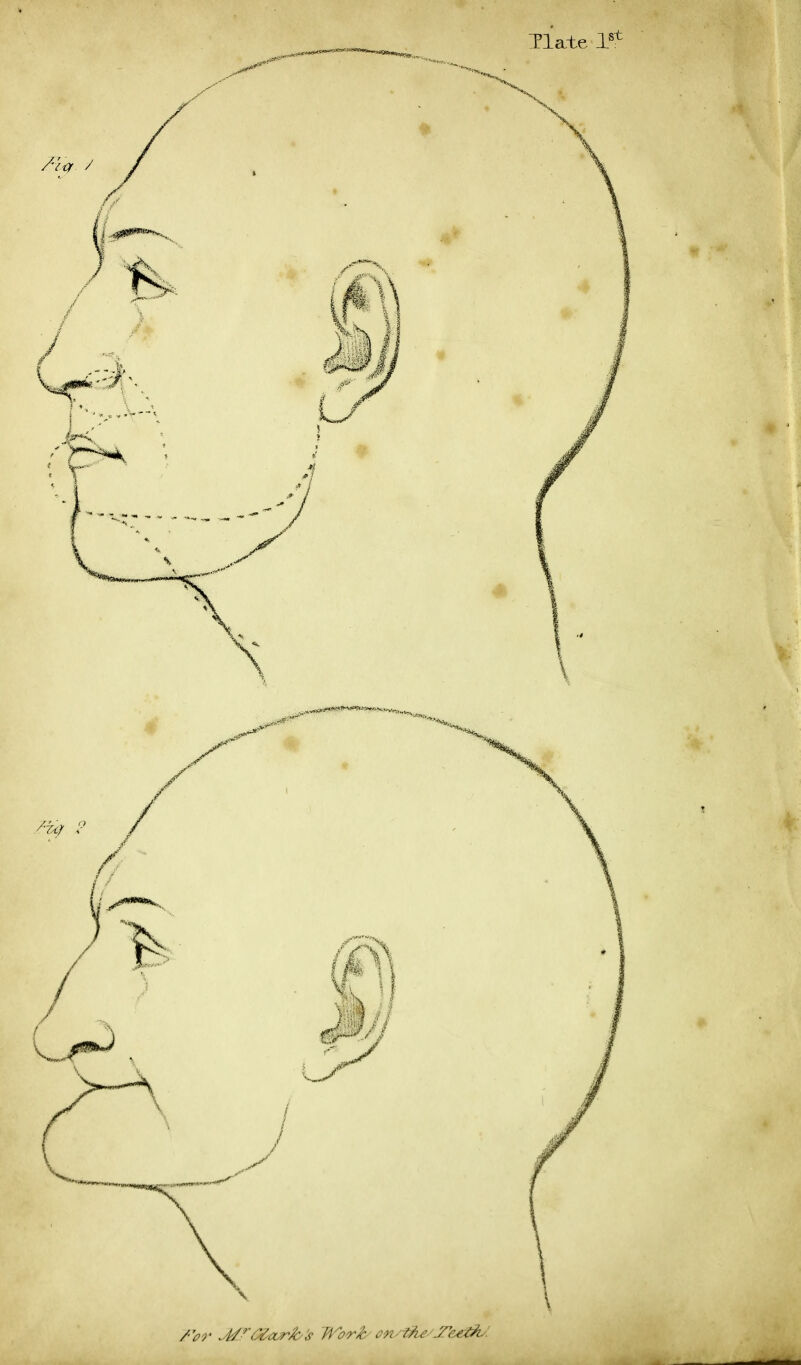 V Tffr M? Mark's Work ewifa/Testis'.