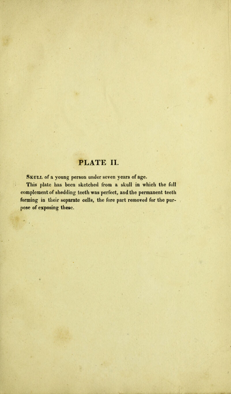 Skull of a young person under seven years of age. This plate has been sketched from a skull in which the full complement of shedding teeth was perfect, and the permanent teeth forming in their separate cells, the fore part removed for the pur- pose of exposing these.