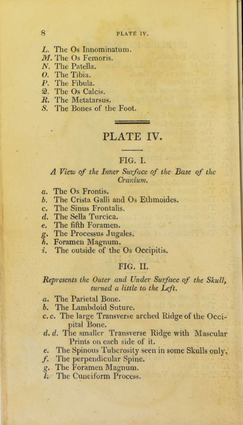 L. The Os Innominatum. M. The Os Femoris. N. The Patella. 0. The Tibia. P. The Fibula. 2. The Os Calcis. R. The Metatarsus. S. The Bones of the Foot. PLATE IV. FIG. I. A View of the Inner Surface of the Base of the Craniwn. a. The Os Frontis. b. The Crista Galli and Os Ethmoides. c. The Sinus Frontalis. d. The Sella Turcica. e. The fifth Foramen. g. The Processus Jugales. h. Foramen Magnum. i. The outside of the Os Occipitis. FIG. II. Represents the Outer and Under Surface of the Skull, turned a little to the Left, a. The Parietal Bone. b. The Lambdoid Suture. c. c. The large Transverse arched Ridge of the Occi- pital Bone. d. d. The smaller Transverse Ridge with Mascular Prints on each side of it. e. The Spinous Tuberosity seen in some Skulls only» /. The perpendicular Spine. g. The Foramen Magnum. 7. The Cuneiform Process.