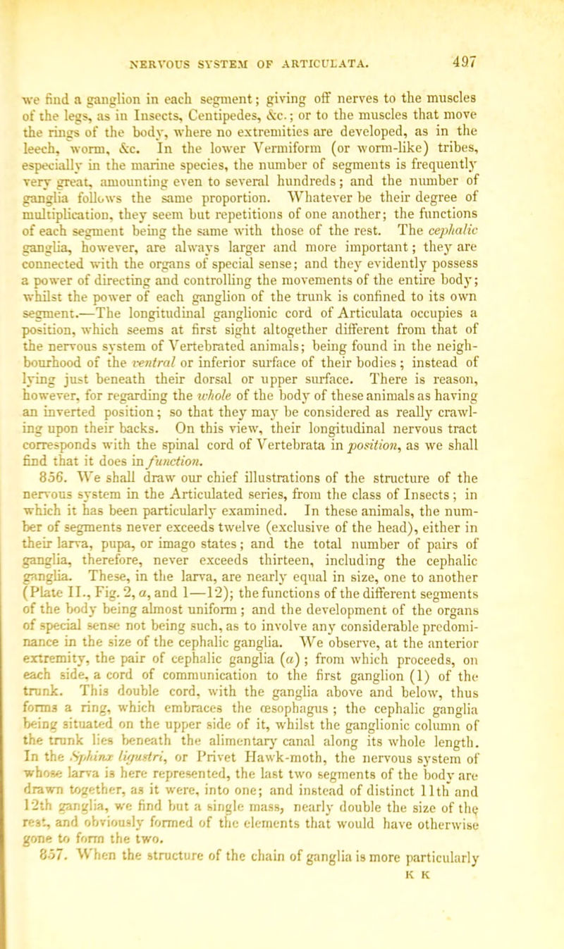we find a ganglion in each segment; giving off nerves to the muscles of the legs, as in Insects, Centipedes, &c.; or to the muscles that move the rings of the body, where no extremities are developed, as in the leech, worm, &c. In the lower Vermiform (or worm-like) tribes, especially in the marine species, the number of segments is frequently very great, amounting even to several hundreds; and the number of ganglia follows the same proportion. Whatever be their degree of multiplication, they seem but repetitions of one another; the functions of each segment being the same with those of the rest. The cepltalic ganglia, however, are always larger and more important; thejr are connected with the organs of special sense; and they evidently possess a power of directing and controlling the movements of the entire body; whilst the power of each ganglion of the trunk is confined to its own segment.—The longitudinal ganglionic cord of Articulata occupies a position, which seems at first sight altogether different from that of the nervous system of Vertebrated animals; being found in the neigh- bourhood of the ventral or inferior surface of their bodies; instead of lying just beneath their dorsal or upper surface. There is reason, however, for regarding the ivhole of the bod}' of these animals as having an inverted position; so that they may be considered as really crawl- ing upon their backs. On this view, their longitudinal nervous tract corresponds with the spinal cord of Vertebrata in position, as we shall find that it does in /'unction. 8.56. We shall draw our chief illustrations of the structure of the nervous system in the Articulated series, from the class of Insects; in which it has been particularly examined. In these animals, the num- ber of segments never exceeds twelve (exclusive of the head), either in their larva, pupa, or imago states; and the total number of pairs of ganglia, therefore, never exceeds thirteen, including the cephalic ganglia. These, in the larva, are nearly equal in size, one to another (Plate II., Fig. 2, a, and 1—12); the functions of the different segments of the body being almost uniform ; and the development of the organs of special sense not being such, as to involve any considerable predomi- nance in the size of the cephalic ganglia. We observe, at the anterior extremity, the pair of cephalic ganglia (a); from which proceeds, on each side, a cord of communication to the first ganglion (1) of the trunk. This double cord, with the ganglia above and below, thus form3 a ring, which embraces the oesophagus ; the cephalic ganglia being situated on the upper side of it, whilst the ganglionic column of the trunk lies beneath the alimentary canal along its whole length. In the SpMtut litjuatri, or Privet Hawk-moth, the nervous system of whose larva is here represented, the last two segments of the body are drawn together, as it were, into one; and instead of distinct 11th and 12th ganglia, we find but a single mass, nearly double the size of the re3t, and obviously formed of the elements that would have otherwise gone to form the two. 857. When the structure of the chain of ganglia is more particularly K K