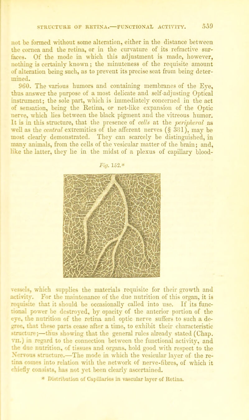 <TRlt TURK OF RETINA. .—Fl'XL'TlONAL ACTIVITY. .539 not be formed without some alteration, either in the distance between the cornea and the retina, or in the curvature of its refractive sur- faces. Of the mode in which this adjustment is made, however, nothing is certainly known; the minuteness of the requisite amount of alteration being such, as to prevent its precise seat from being deter- mined. 960. The various humors and containing membranes of the Eye, thus answer the purpose of a most delicate and self-adjusting Optical instrument; the sole part, which is immediately concerned in the act of sensation, being the Retina, or net-like expansion of the Optic nerve, which lies between the black pigment and the vitreous humor. It is in this structure, that the presence of cel/a at the peripheral as well as the central extremities of the afferent nerves (§ 3!>1), may be most clearly demonstrated. They can scarcely be distinguished, in many animals, from the cells of the vesicular matter of the brain; and, like the latter, they lie in the midst of a plexus of capillary blood- Fig. 152* vessels, which supplies the materials requisite for their growth and activity. For the maintenance of the due nutrition of this organ, it is requisite that it should be occasionally called into use. If its func- tional power be destroyed, by opacity of the anterior portion of the eye, the nutrition of the retina and optic nerve suffers to such a de- iiree, that these parts cease after a time, to exhibit their characteristic structure;—thus showing that the general rules already stated (Chap, vn.) in regard to the connection between the functional activity, and the due nutrition, of tissues and organs, hold good with respect to the >.'■ T.ous structure.—The mode in which the vesicular layer of the re- tina comes into relation with the network of nerve-fibres, of which it chiefly consi3t3, has not yet been clearly ascertained. * Distribution of Capillaries in vascular layer of Retina.