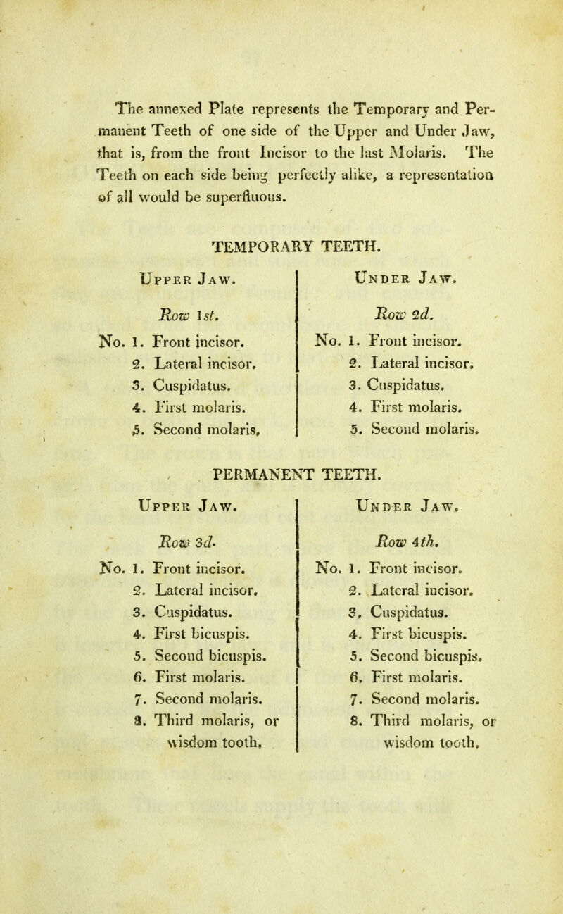 The annexed Plate represents the Temporary and Per- manent Teeth of one side of the Upper and Under Jaw, that is, from the front Incisor to the last Molaris. The Teeth on each side being perfectly alike, a representation of all would be superfluous. TEMPORARY TEETH. Upper Jaw. Under Jaw. Row 1st, Row ^d. No. 1. Front incisor. No, i. Front incisor. 2. Lateral incisor. 2. Lateral incisor. 5. Cuspidatus. 3. Cuspidatus, 4. First molaris. 4. First molaris. 3. Second molaris. 5. Second molaris. PERMANENT TEETH. Upper Jaw. Under Jaw% Row 3d* Row 4th, No. 1. Front incisor. No. 1. Front incisor. 2. Lateral incisor. 2. Lateral incisor. 3. Cuspidatus. 3, Cuspidatus. 4. First biciispis. 4. First bicuspis. 5. Second bicuspis. 5. Second bicuspis. 6. First molaris. 6, First molaris. 7. Second molaris. 7. Second molaris. 3. Third molaris, or 8. Third molaris, wisdom tooth, wisdom tooth.