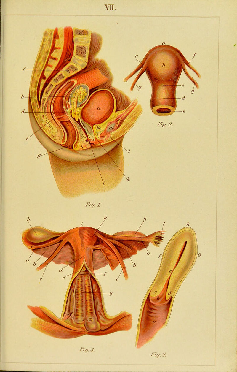 Fig. 3. Fig. '/■