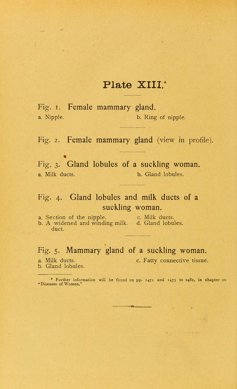 Plate XIII.* Fig. i. Female mammary gland. a. Nipple. b. Ring of nipple. Fig. 2. Female mammary gland (view in profile). Fig. 3. Gland lobules of a suckling woman. a. Milk ducts. b. Gland lobules. Fig. 4. Gland lobules and milk ducts of a suckling woman. a. Section of the nipple. c. Milk ducts. b. A widened and winding milk. d. Gland lobules. duct. t Fig. 5. Mammary gland of a suckling woman. a. Milk ducts. c. Fatty connective tissue. b. Gland lobules. * Further information will be found on pp. 1471 and 1475 to 1481, in chapter on Diseases of Women.