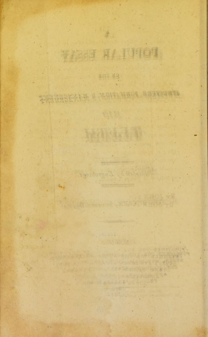 / v . ,V . •» . s * m . . . ^ • .